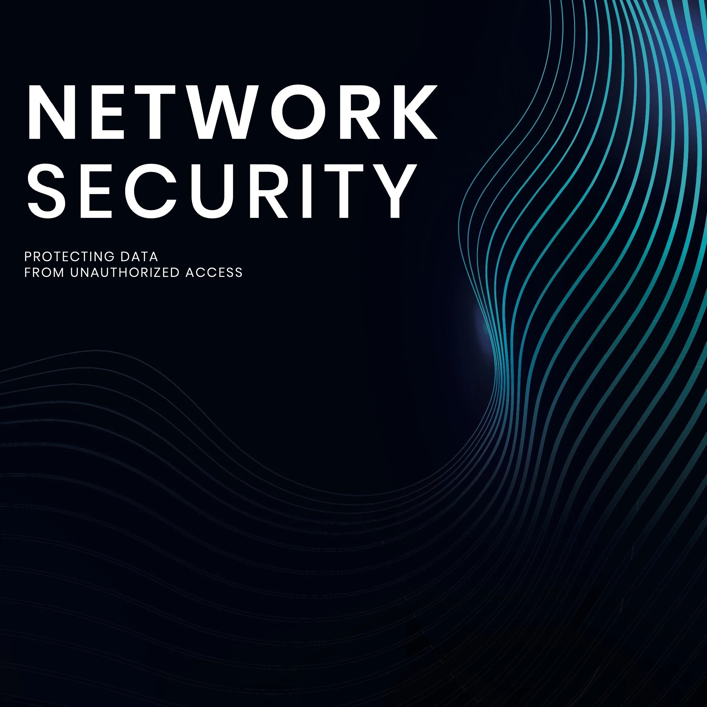 Network Security, IT Security Compliance, Digital Endpoint protection.