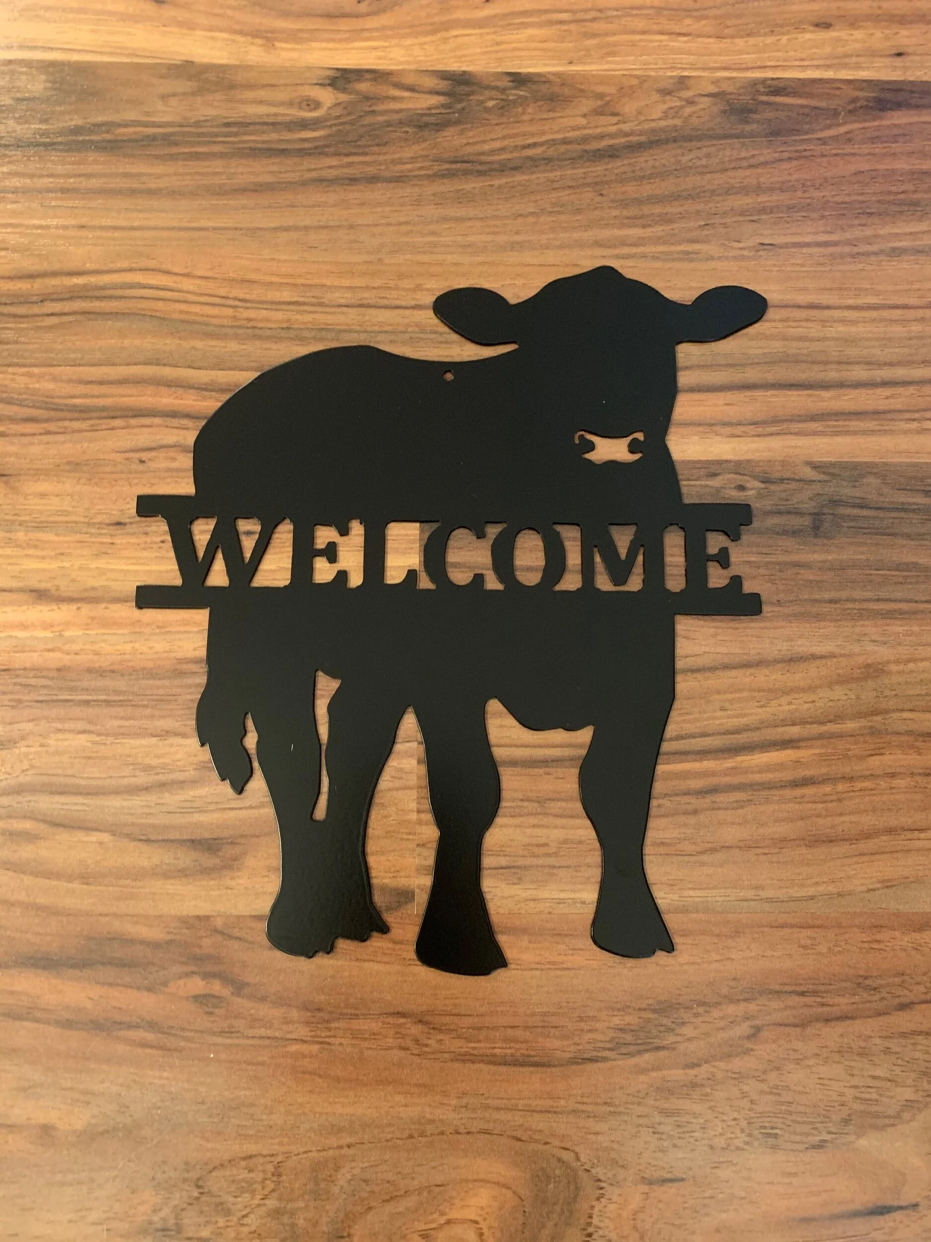 46EE1BAE-1CD5-4655-A74A-840796E9821C