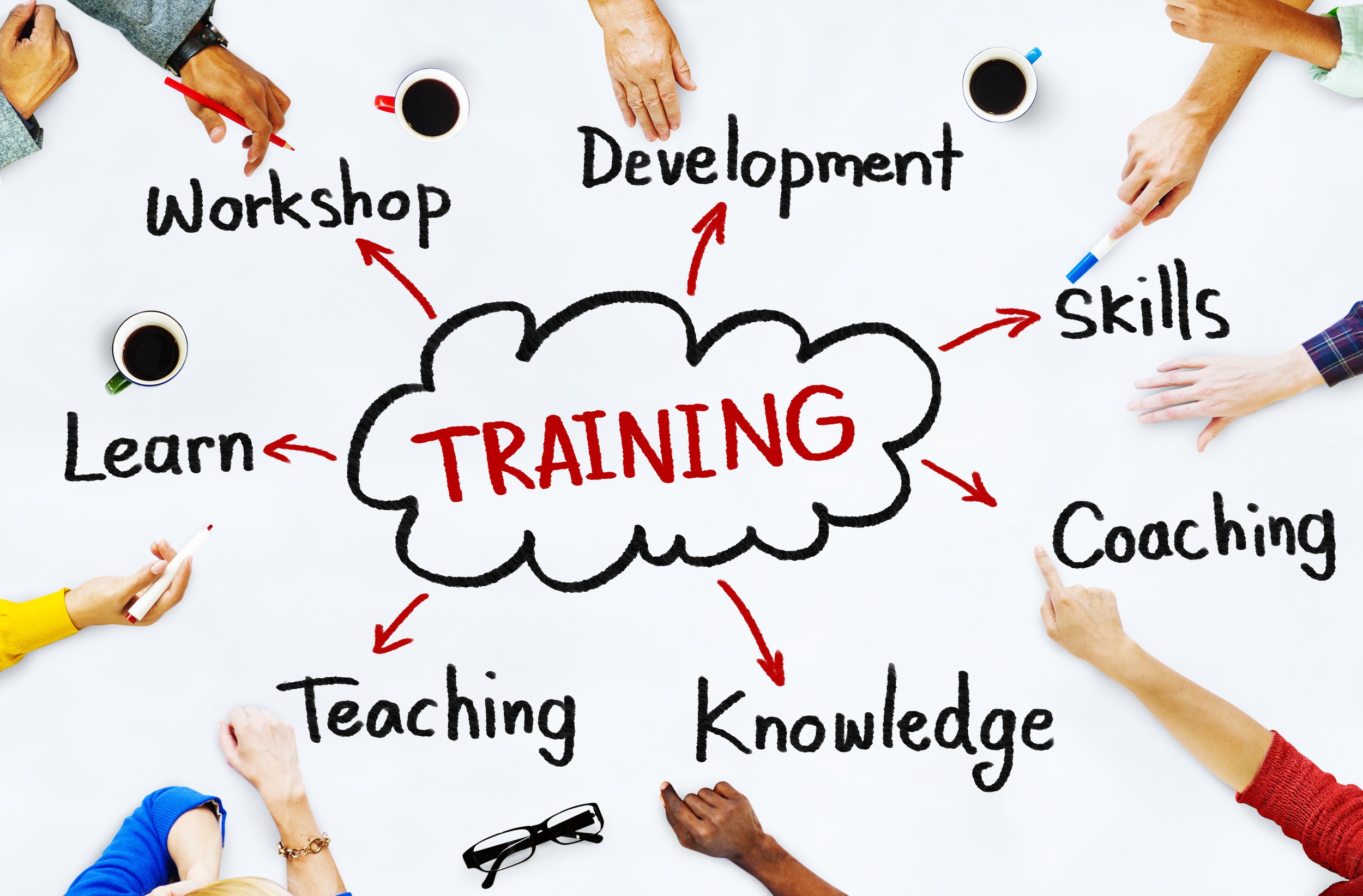 Software Training