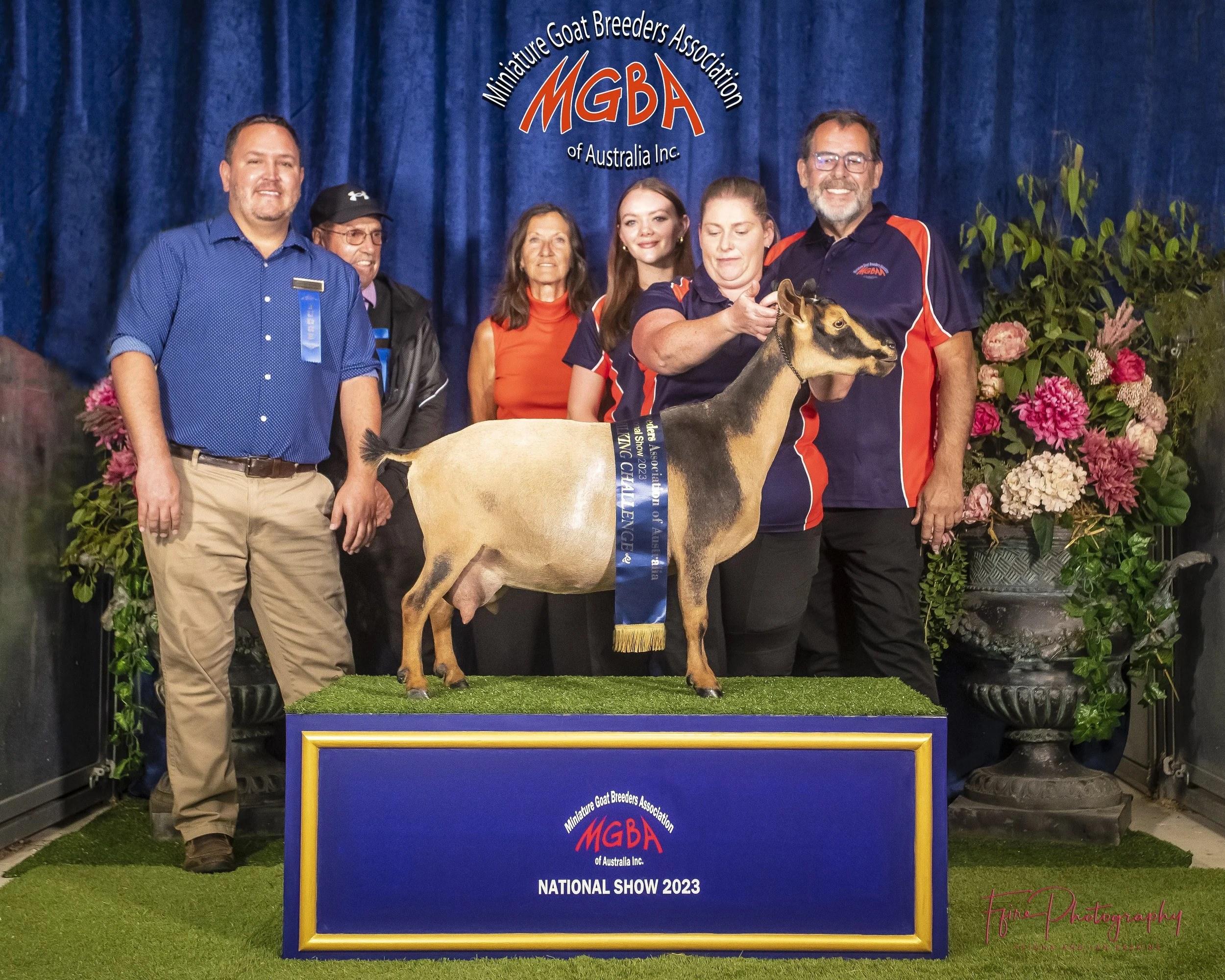 MGBA National Show 2023 — Stoney Creek Farm