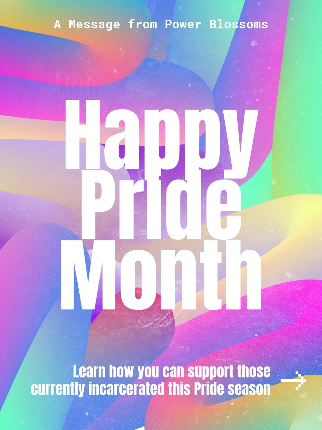 Happy pride month! Thank you to everyone who submitted a pride message to send inside! Here are some other ways to support those behind bars <3

Slide 1 image description: 
A colorful gradient poster. A small white text at the top reads &lsquo;A M