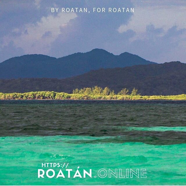 On Roat&aacute;n, we enjoy several shades of blue.