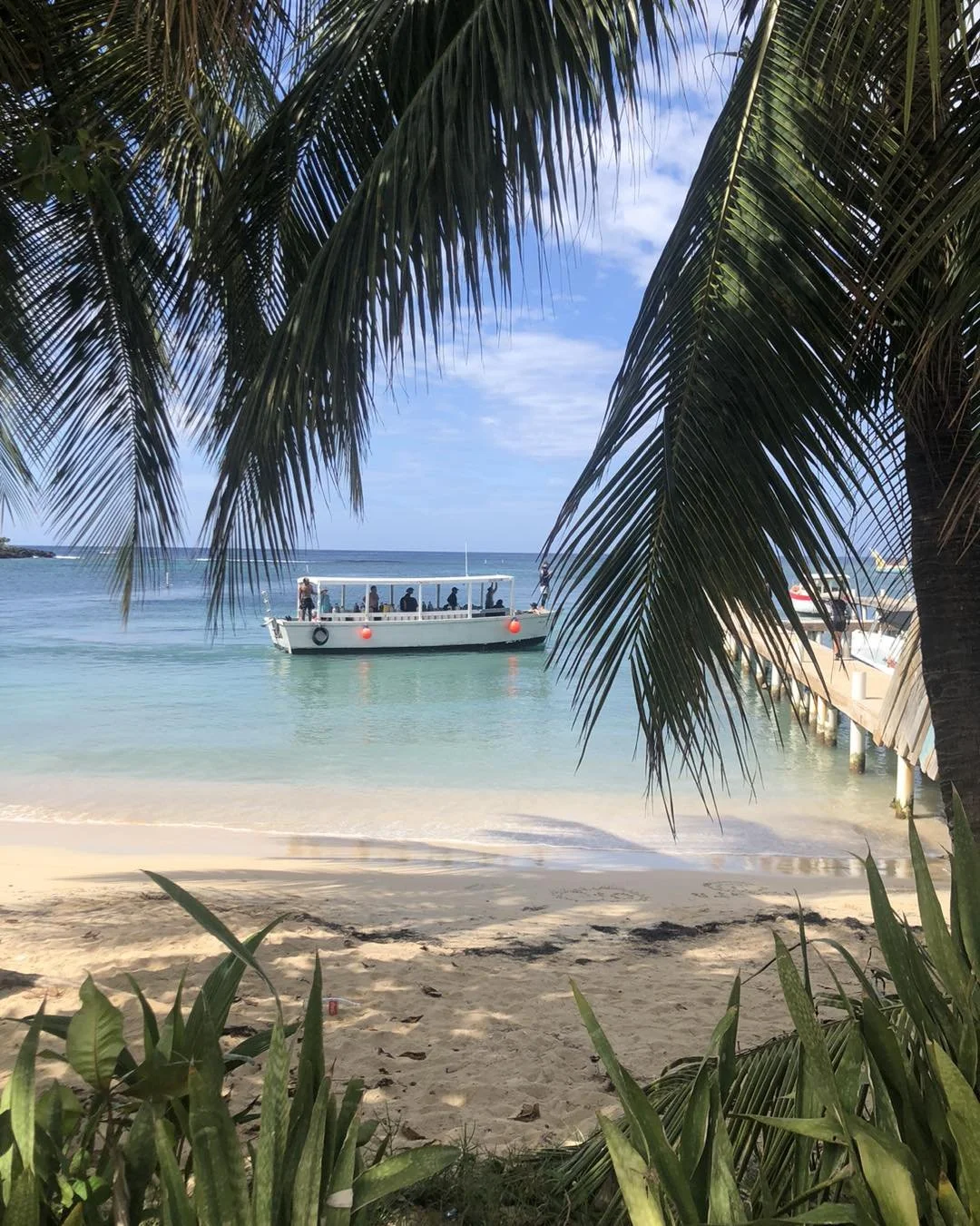 Coconut Tree Divers & Go Pro Caribbean
