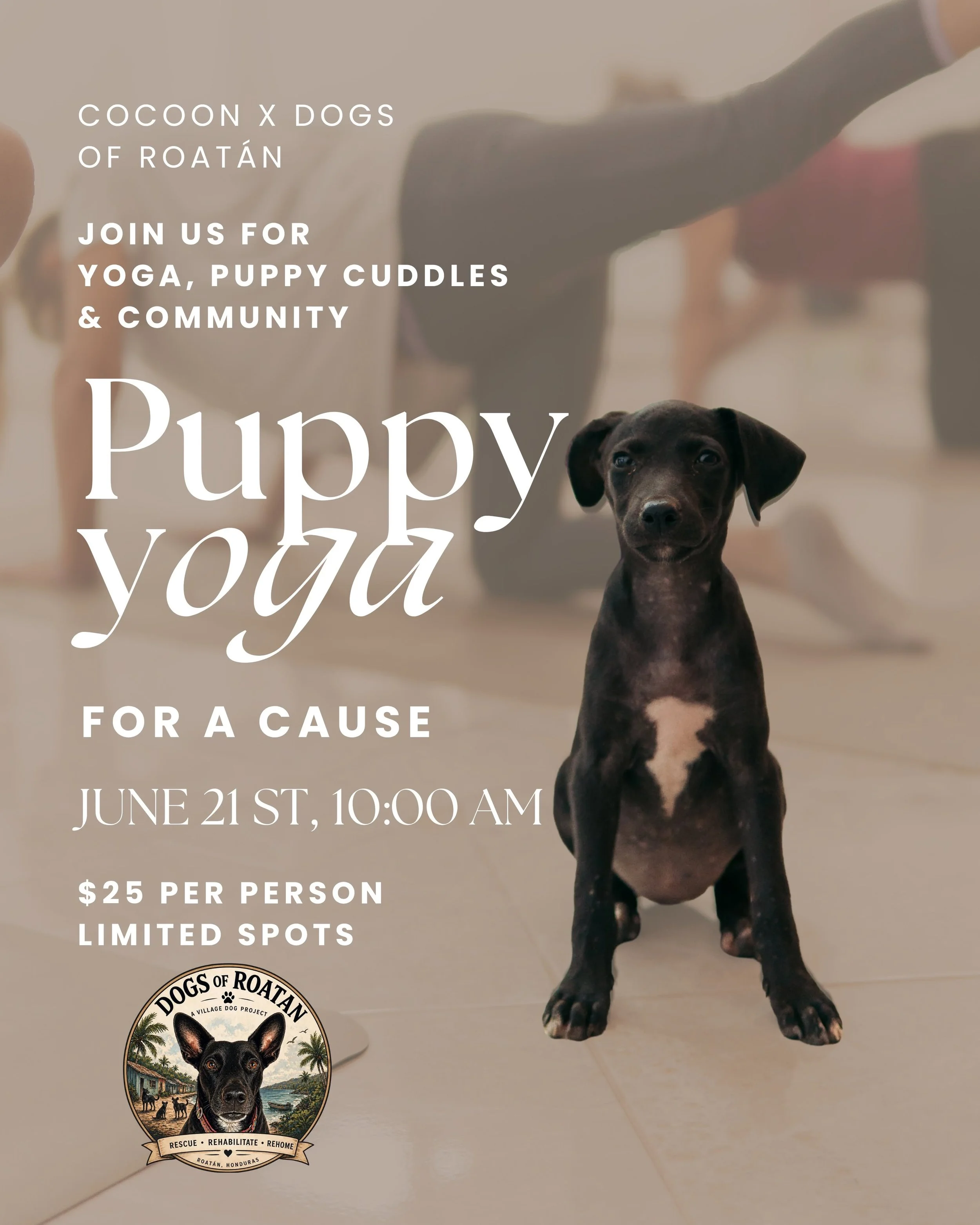 Join Puppy Yoga for a Cause at Cocoon Wellness Studio in Roatán