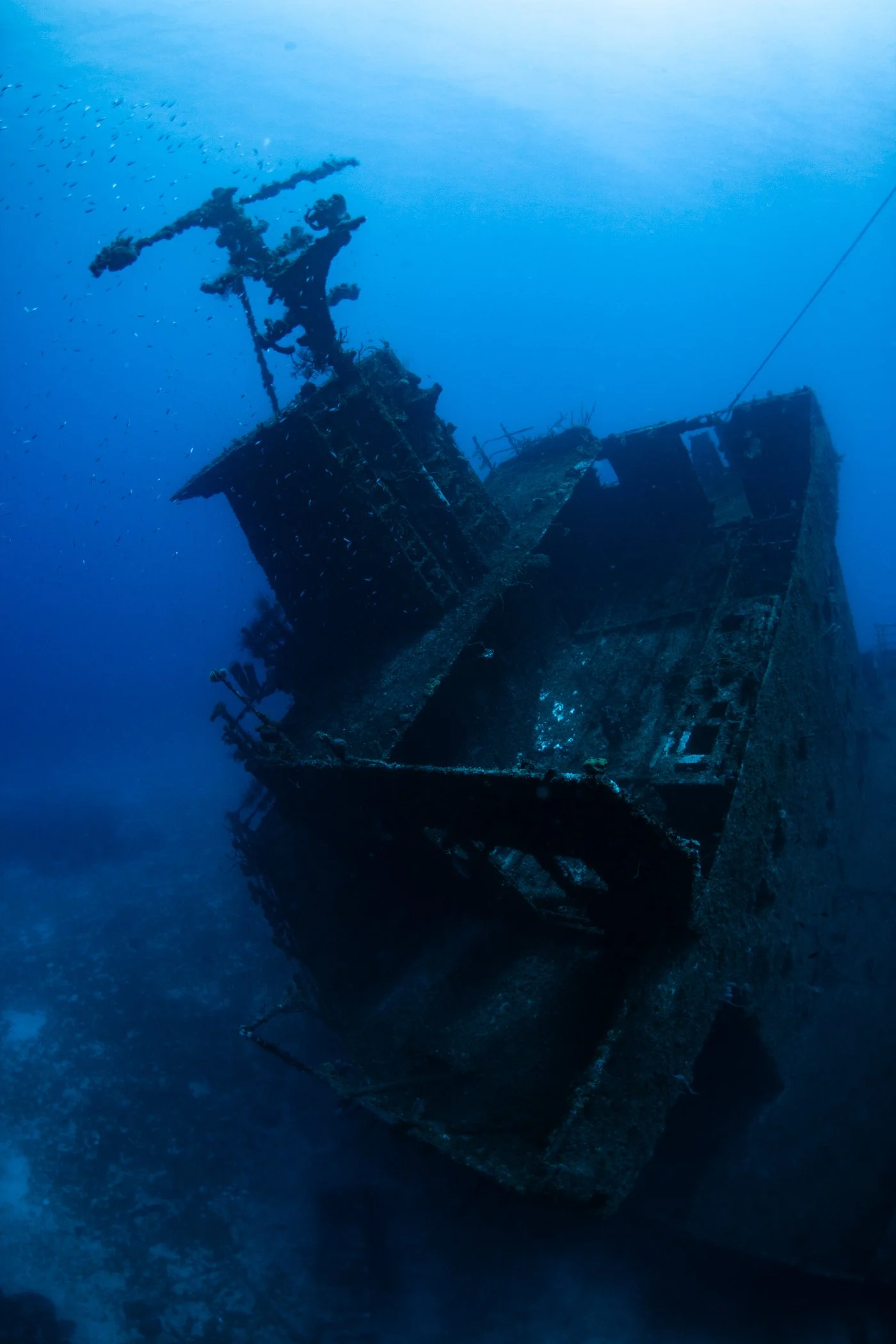 BR1-4928 (2).jpg