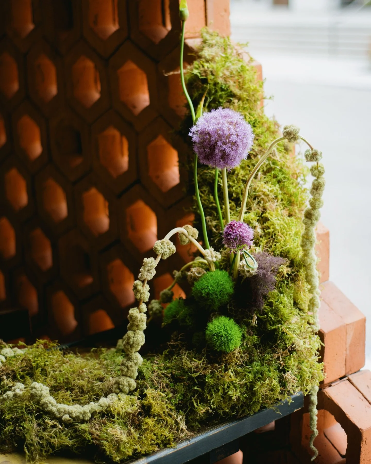 Summer art installation, live until September ✺

FLORAL DESIGN @kelleytang
/ PHOTOGRAPHY @notyourdadsphotos