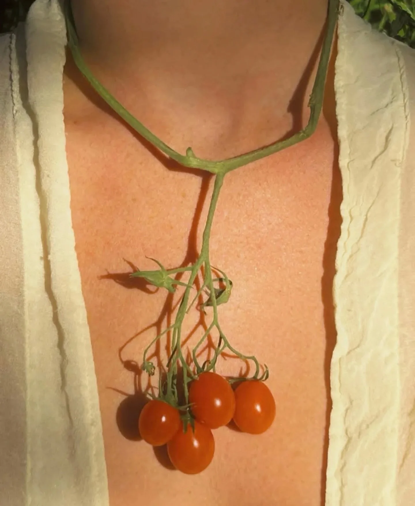 NOVA ARTS ✺ inspiration ✺ via @clairewalter