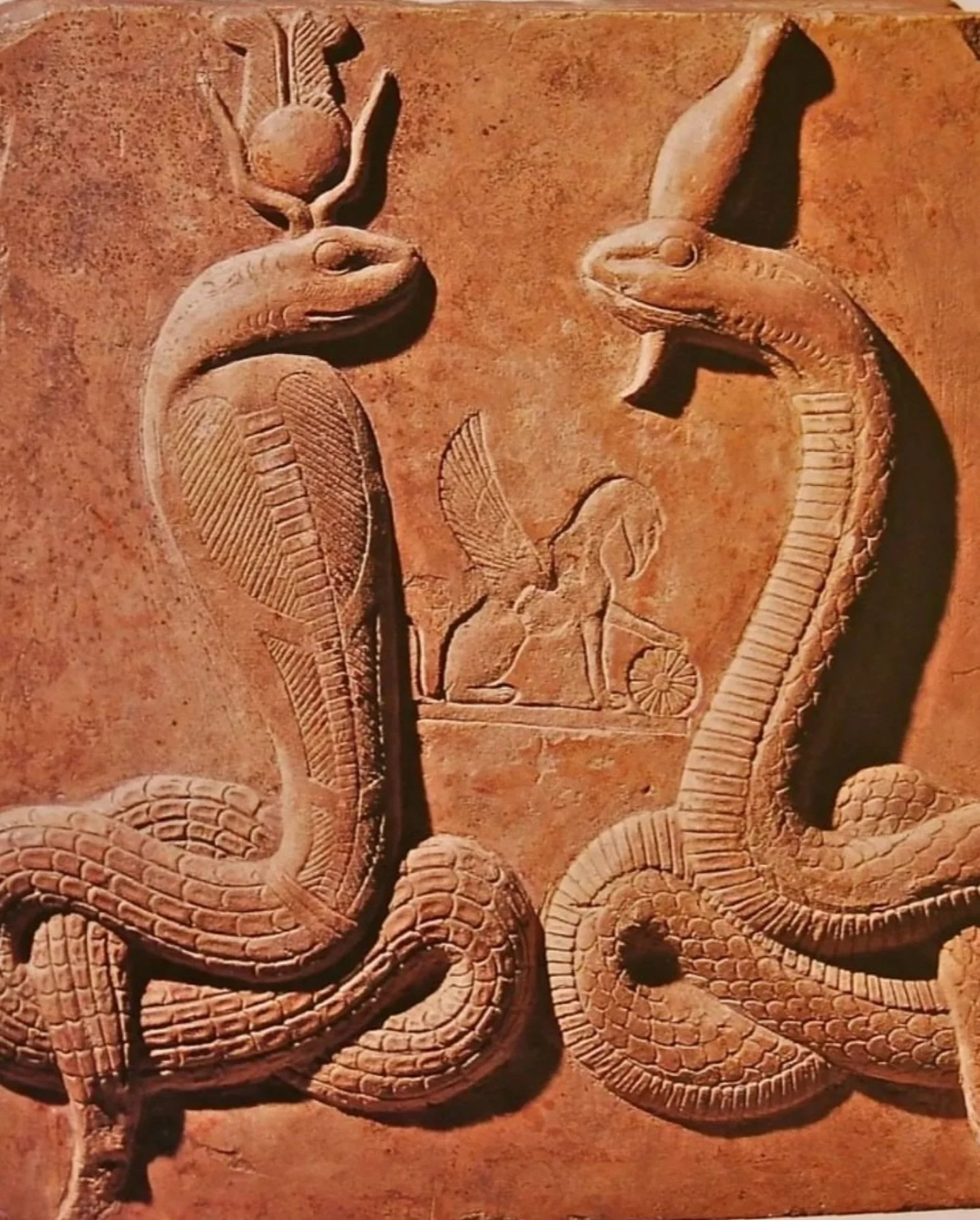 Two snakes intertwining in their dual function, representing the northern and southern empires of Egypt ✺ via @arsgravis