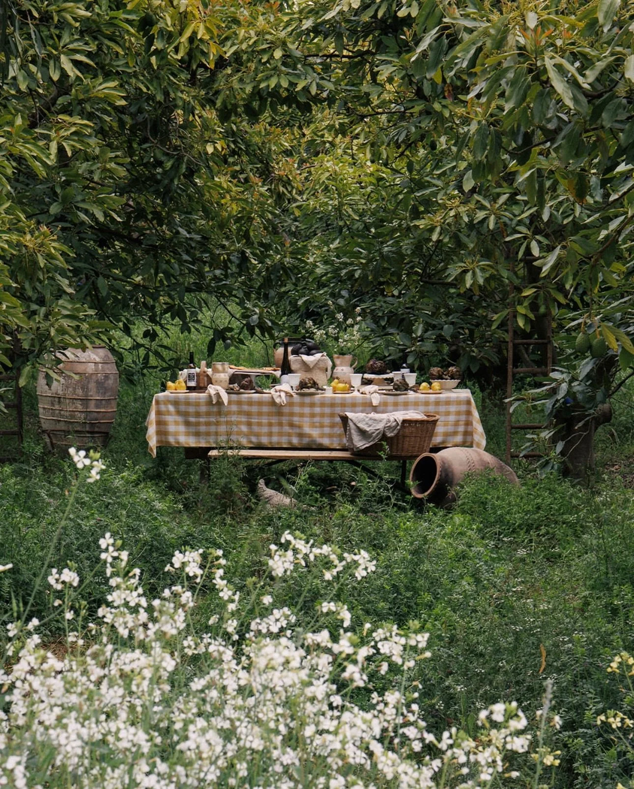@apricotlanefarms by @oliveateliers