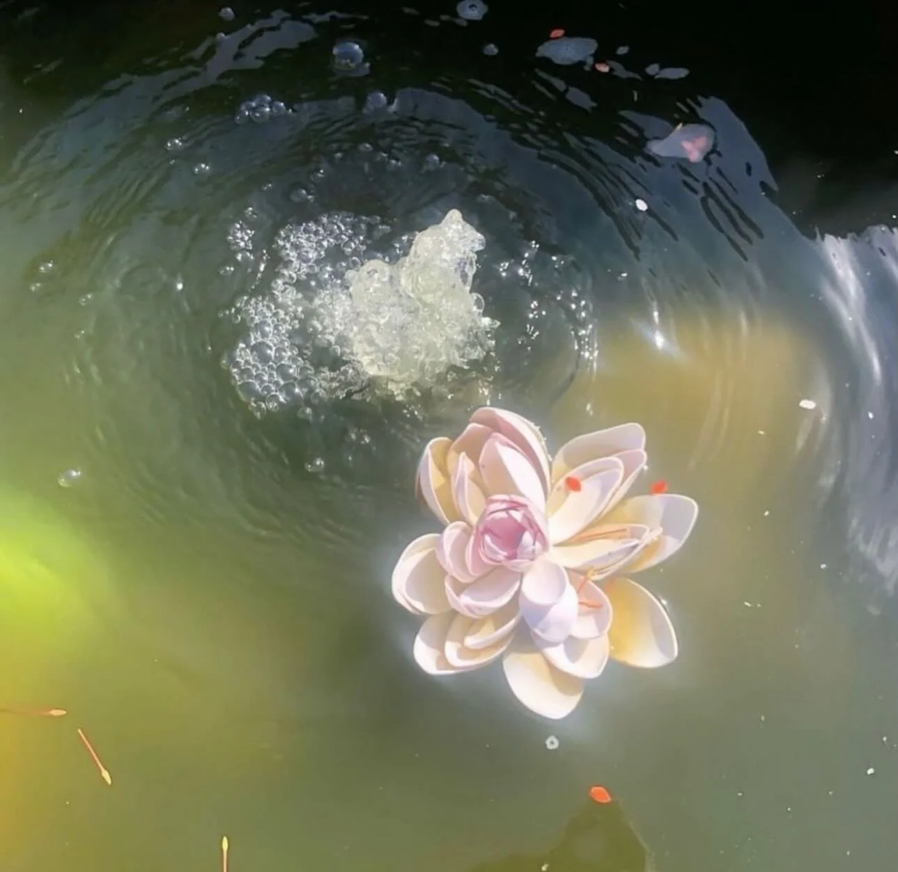 NOVA ARTS ✺ inspiration ✺ via @alivinglighteternallove