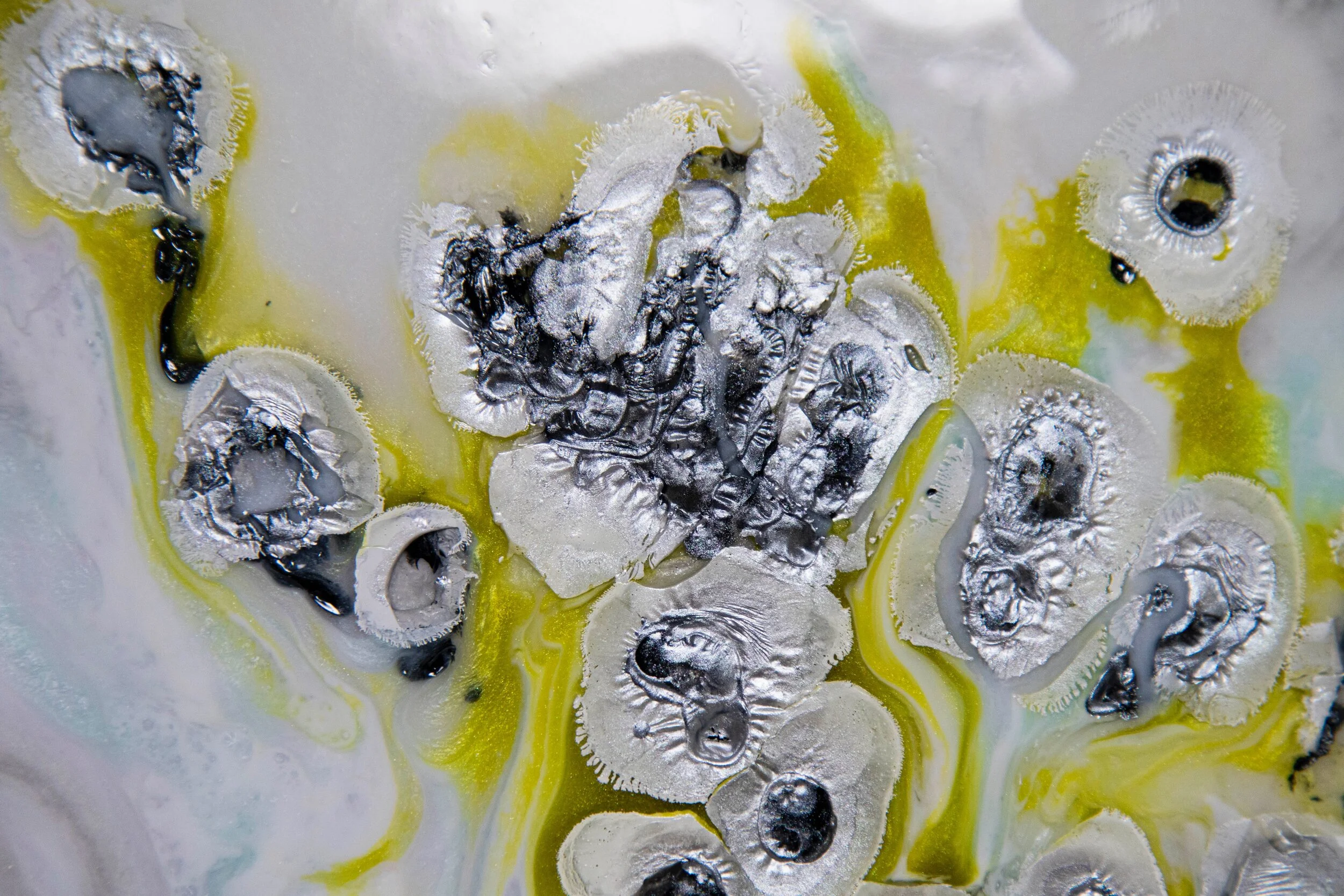 "The Dance Of The Cells"