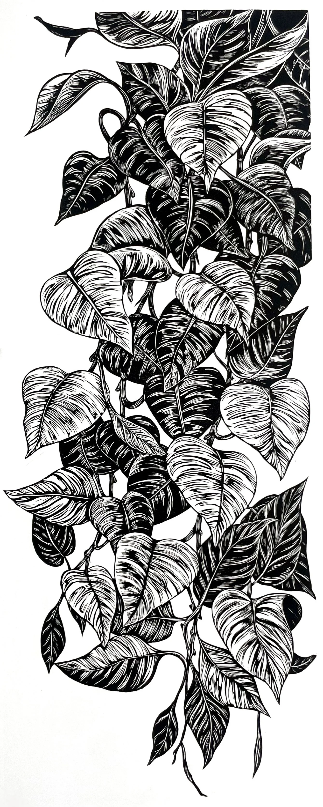 Hanging in There Print 2024.jpg