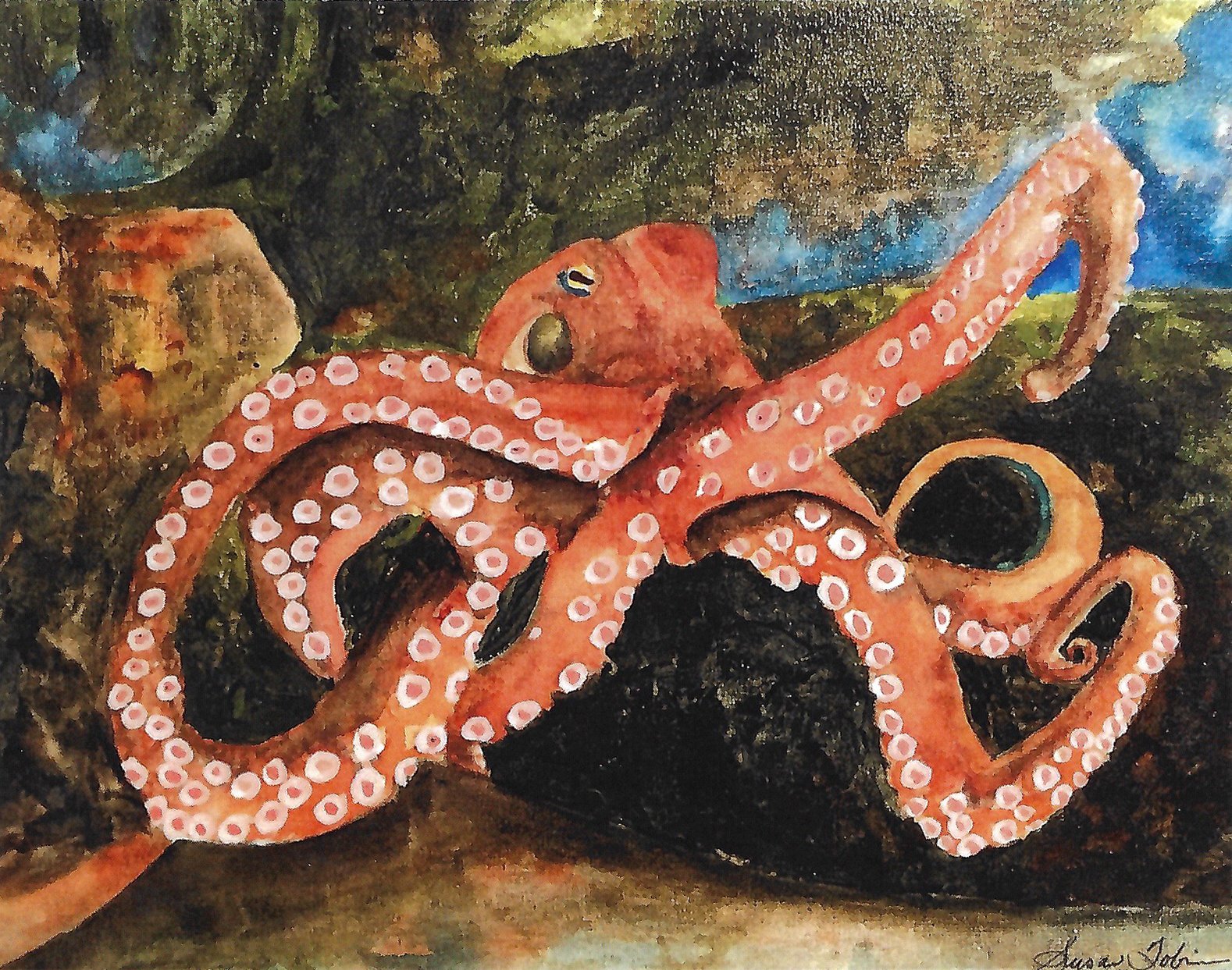 Octopus.jpg