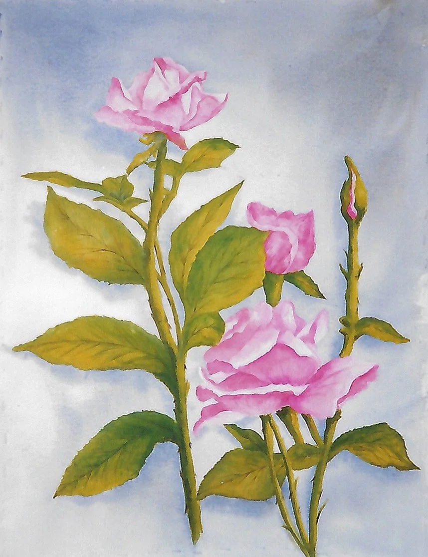 Lavender Flowers.jpg