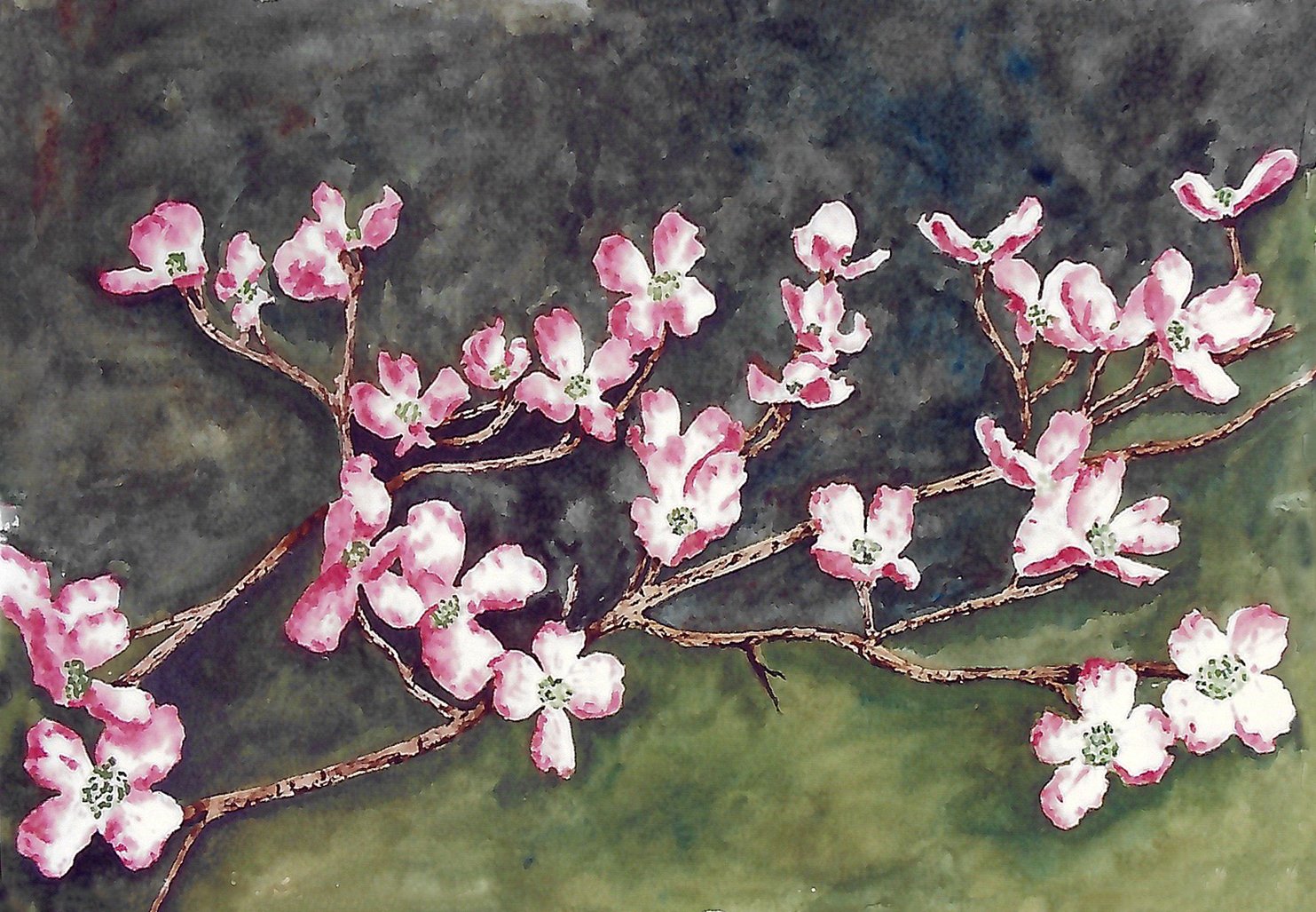Tree Flowers.jpg