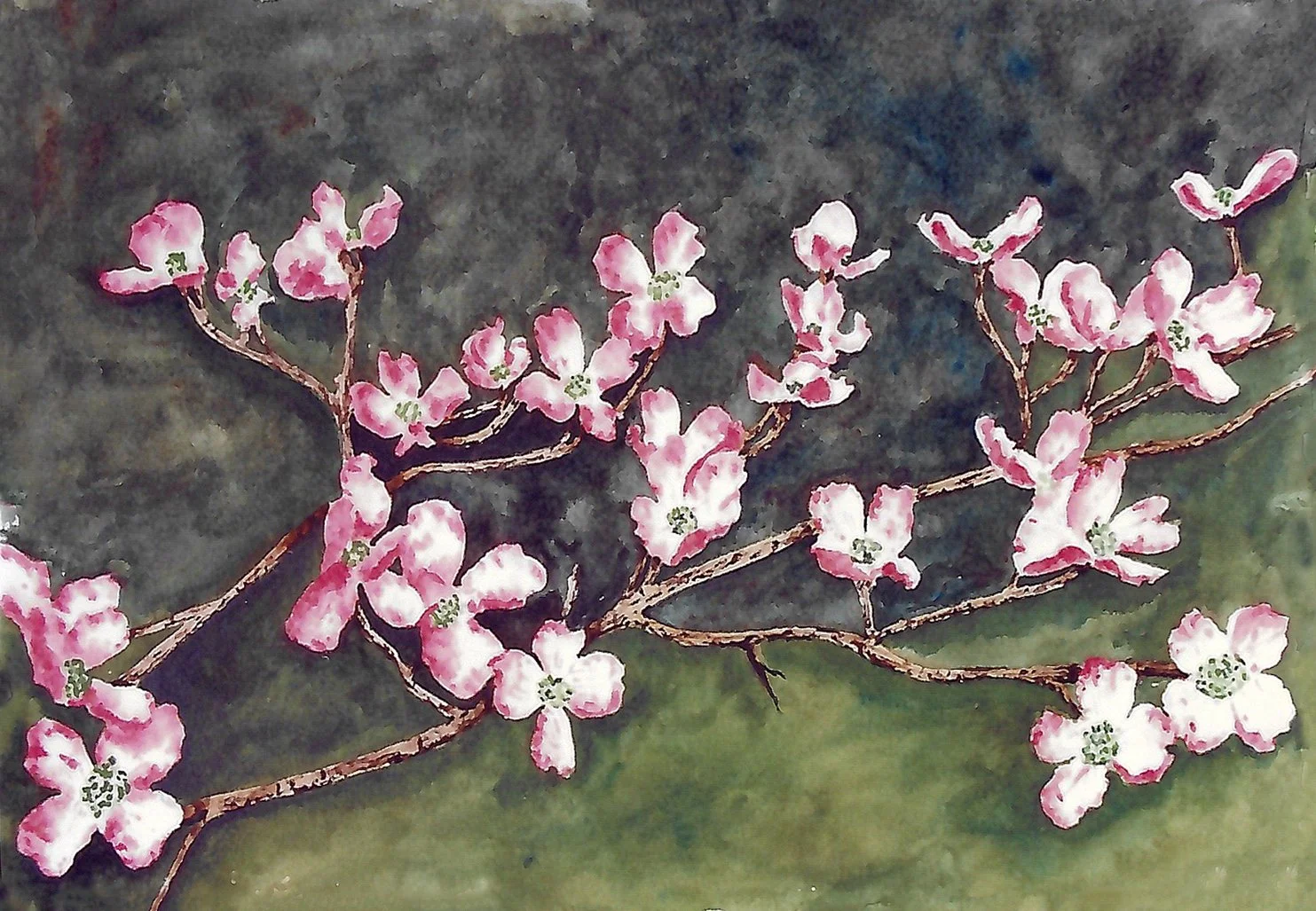 Tree Flowers.jpg
