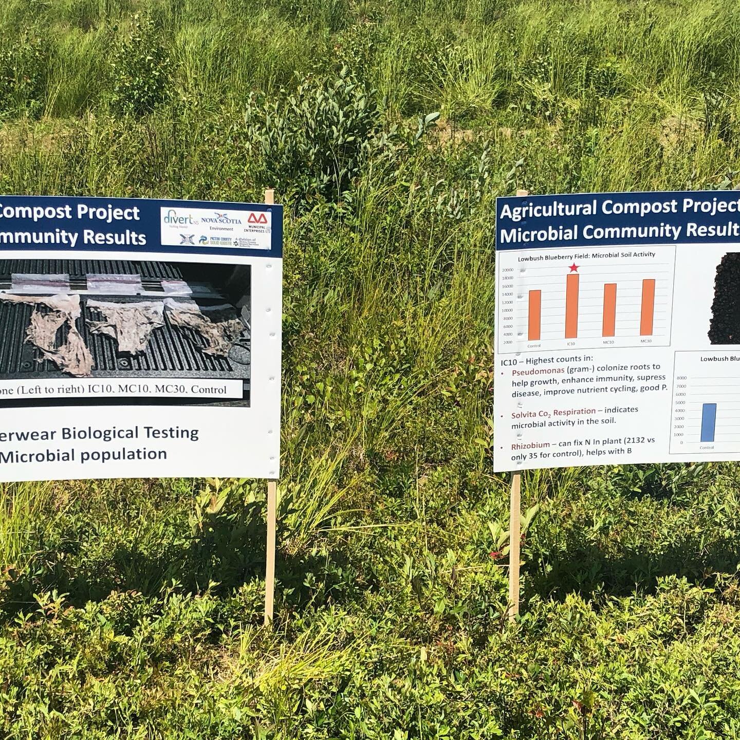 Sneak peak #2 of #blueberry field day in Thurs! Setting up signs to share new info to improve #soilhealth &amp; #cropyield! #compost @DivertNS @MunicipalGroup1 @ns_environment