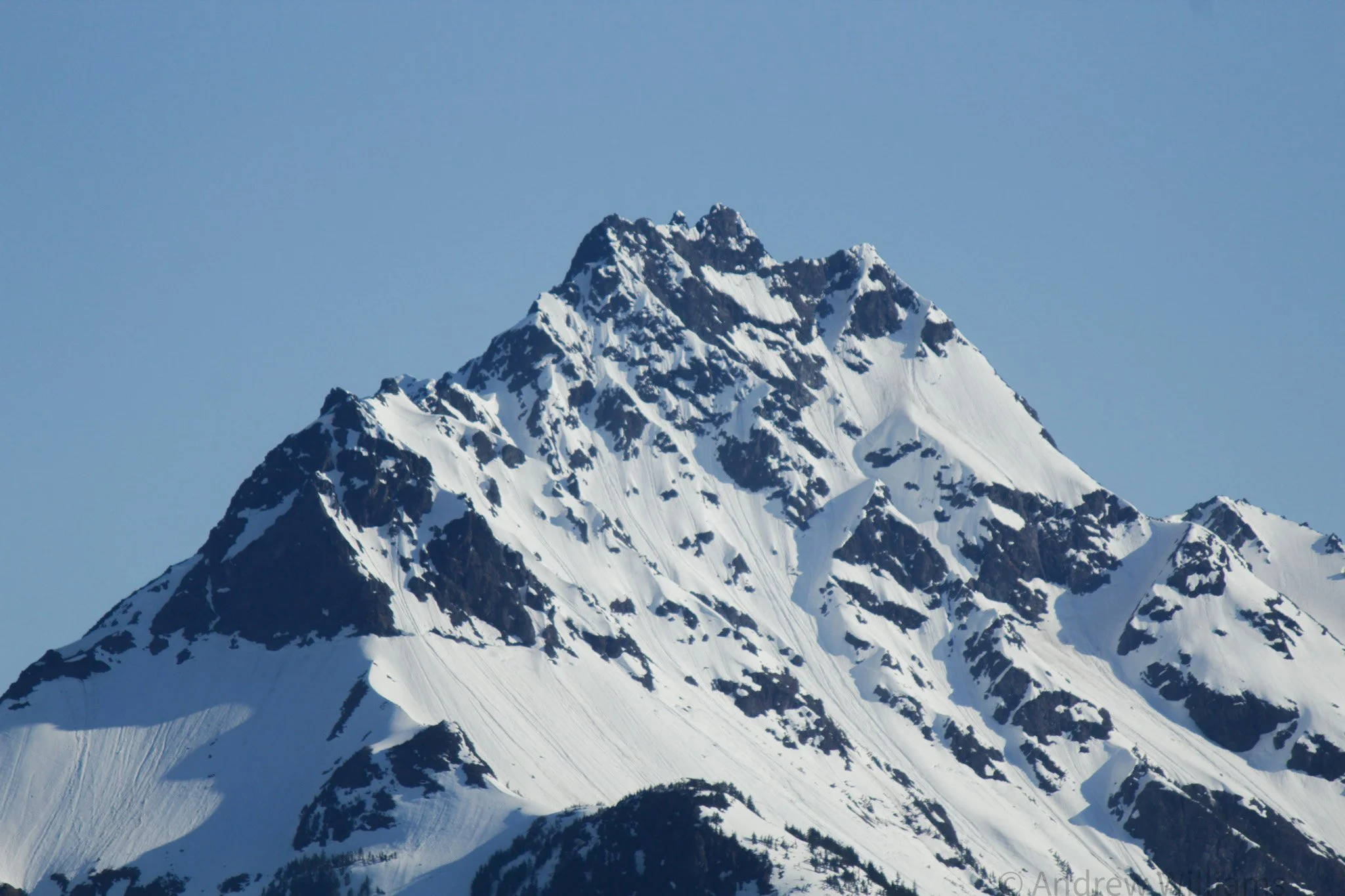 _MG_1036.jpg