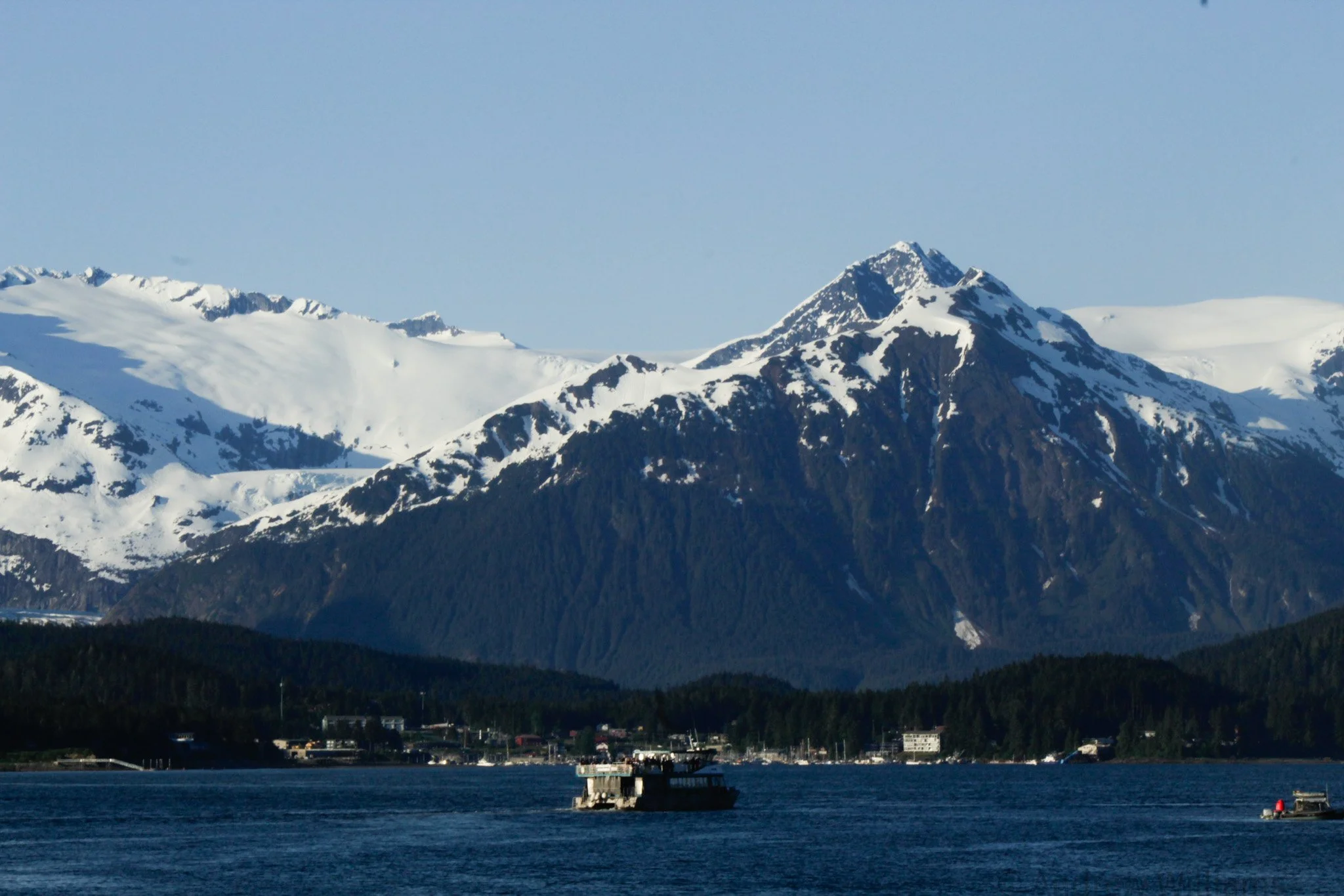 _MG_1162.jpg