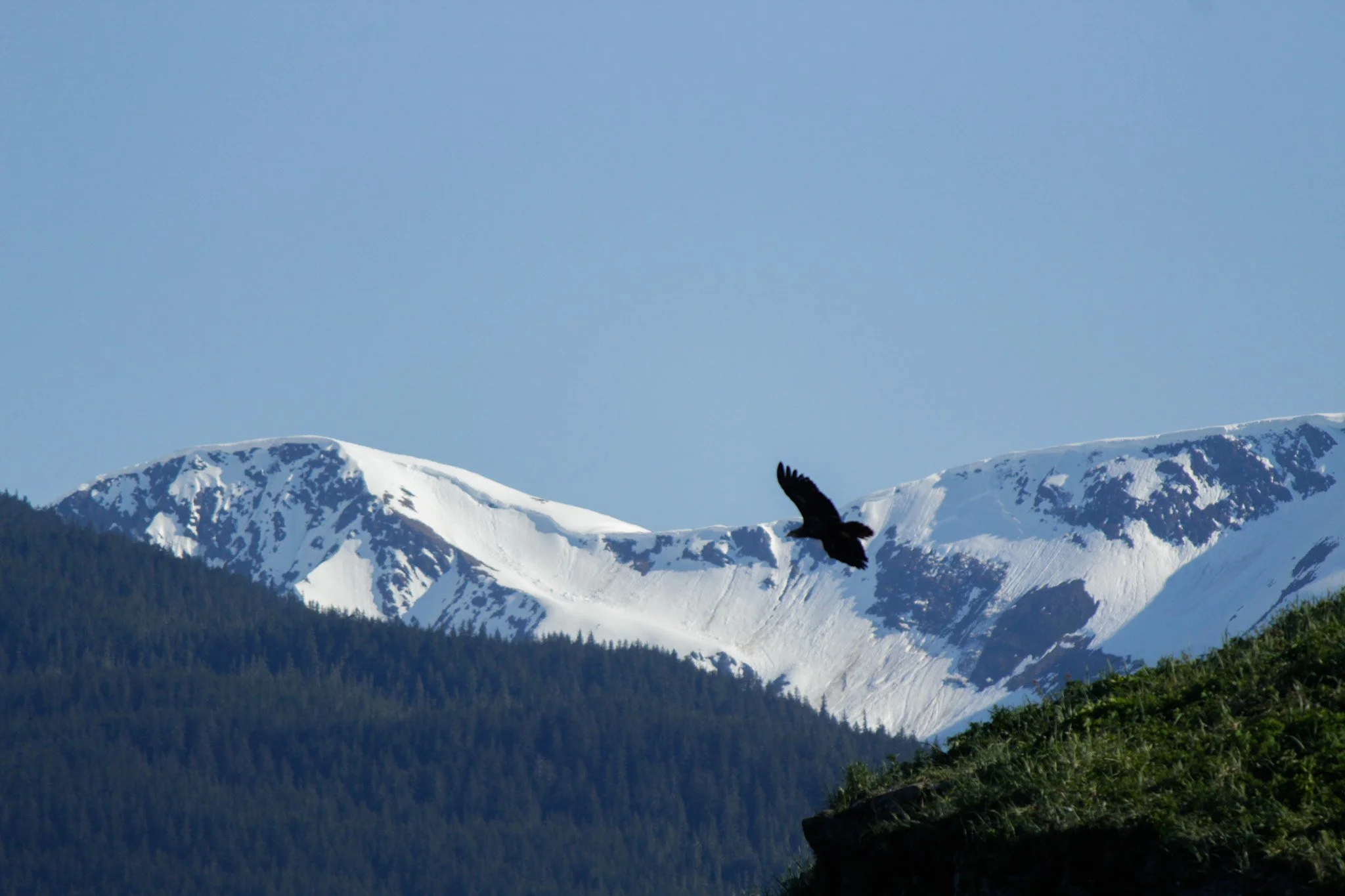 _MG_0964.jpg