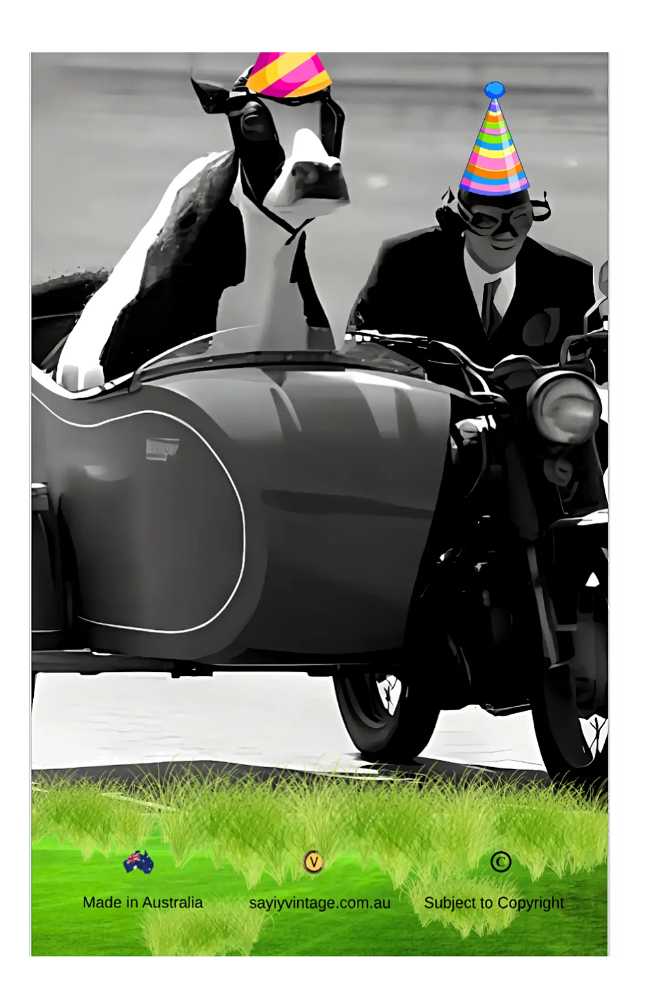 5.png
