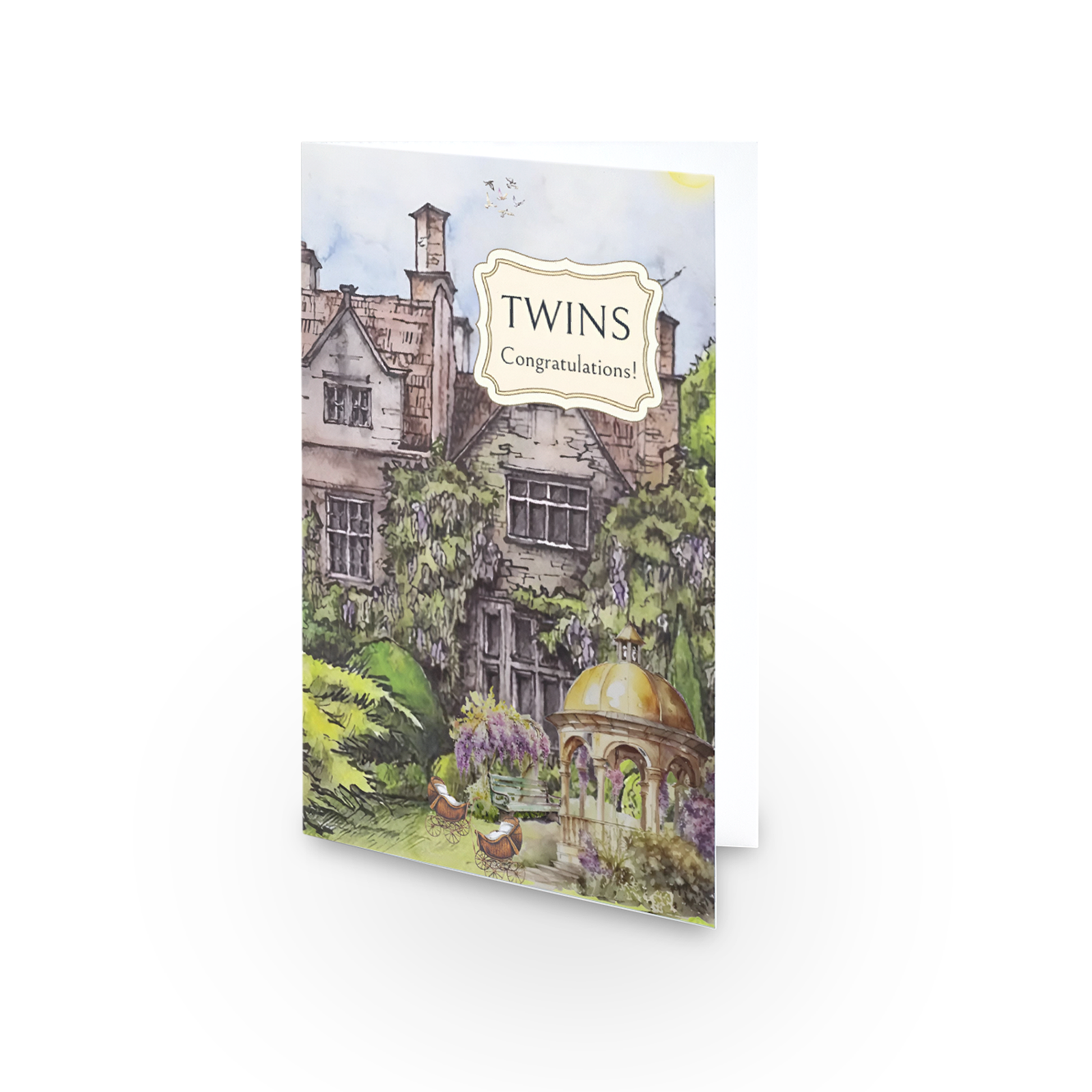 Twins Baby - Single Card - SQ6520132