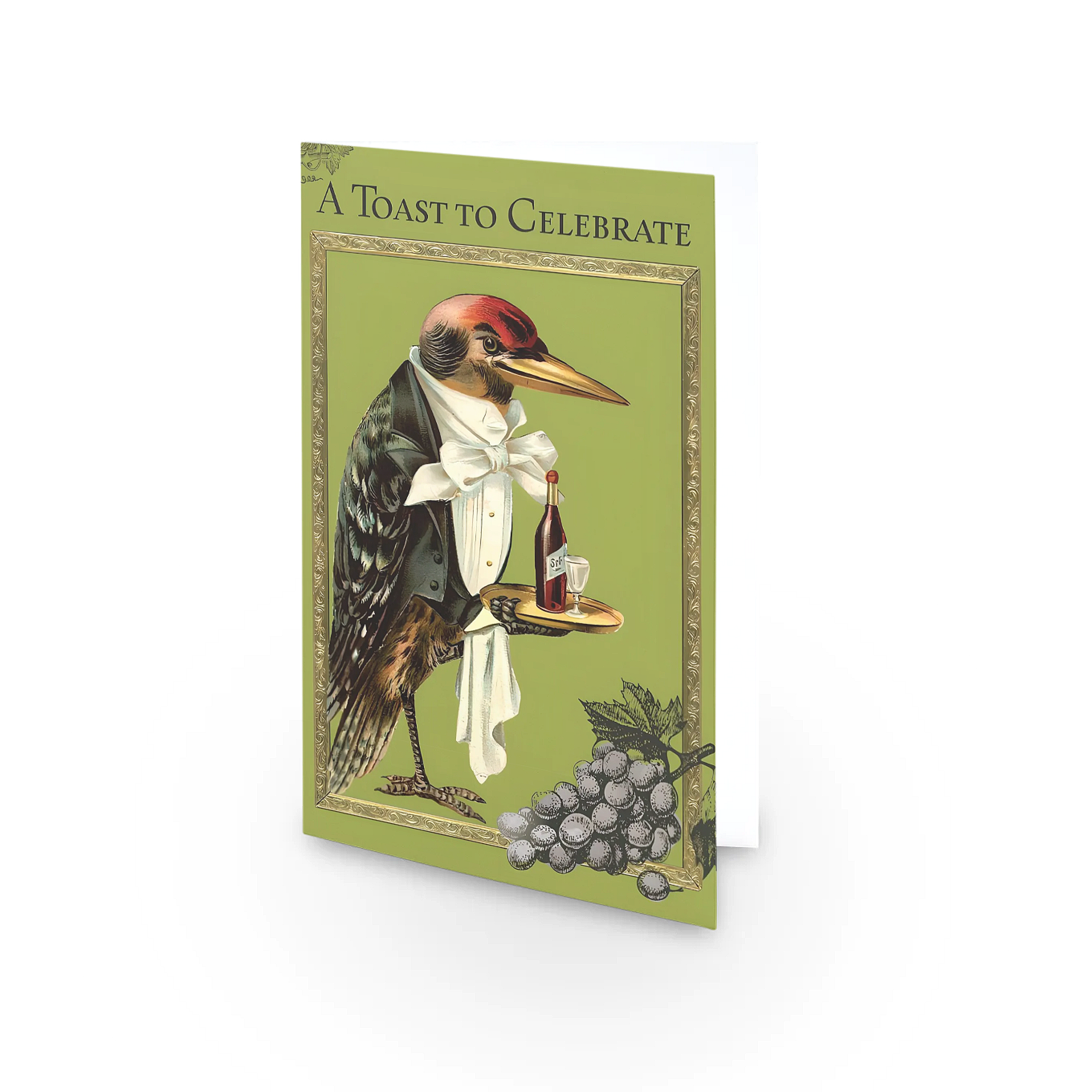 Male Birthday - Single Card - SQ7434873