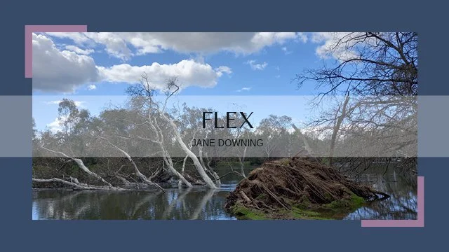 Flex