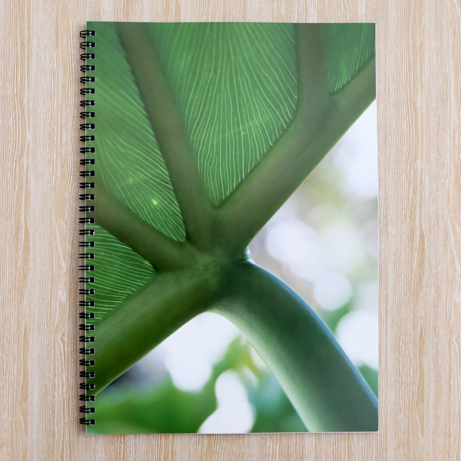 Notebook_GreenLeaves.jpg