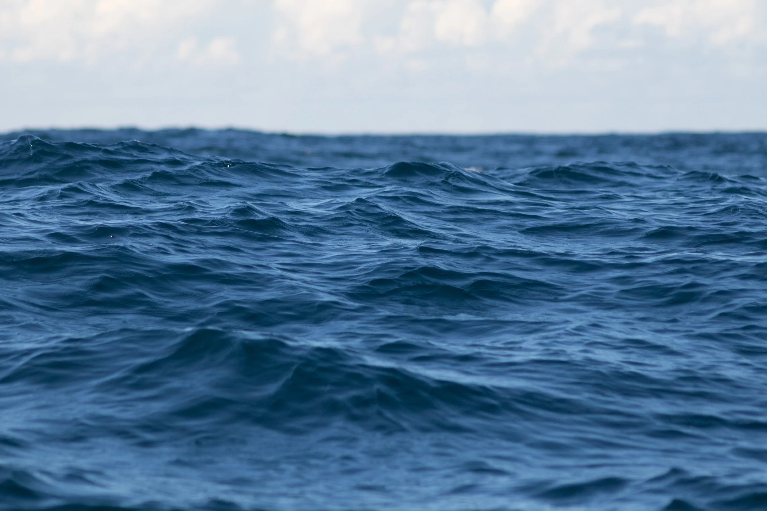 Blue Ocean Strategy: A Growth Model to Achieve Market Success