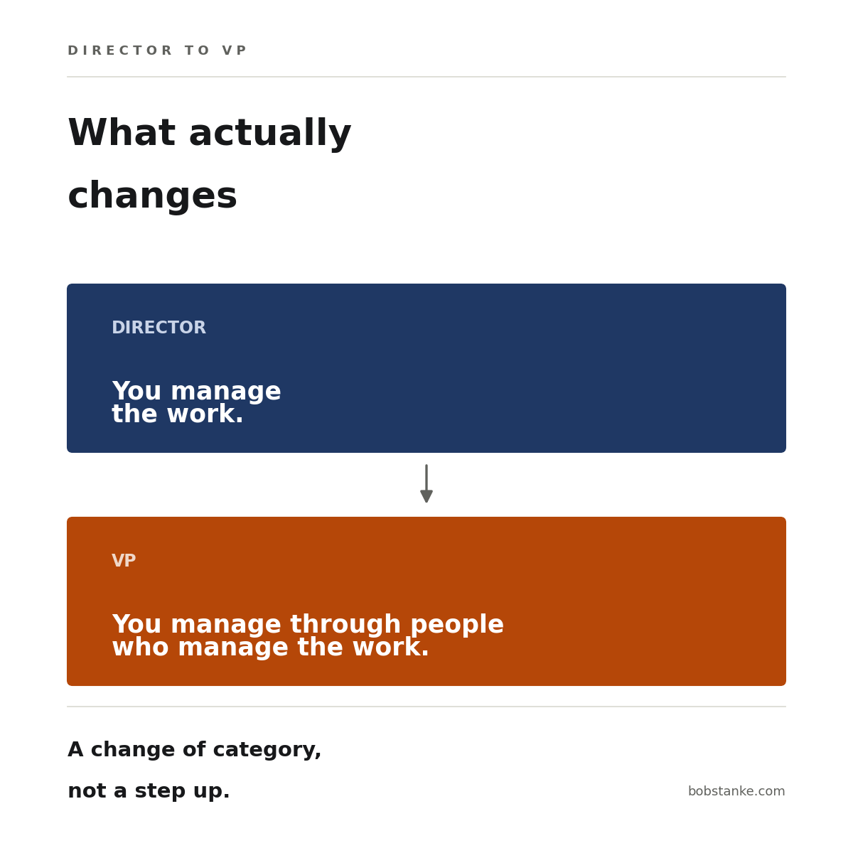 Director to VP: What Actually Changes
