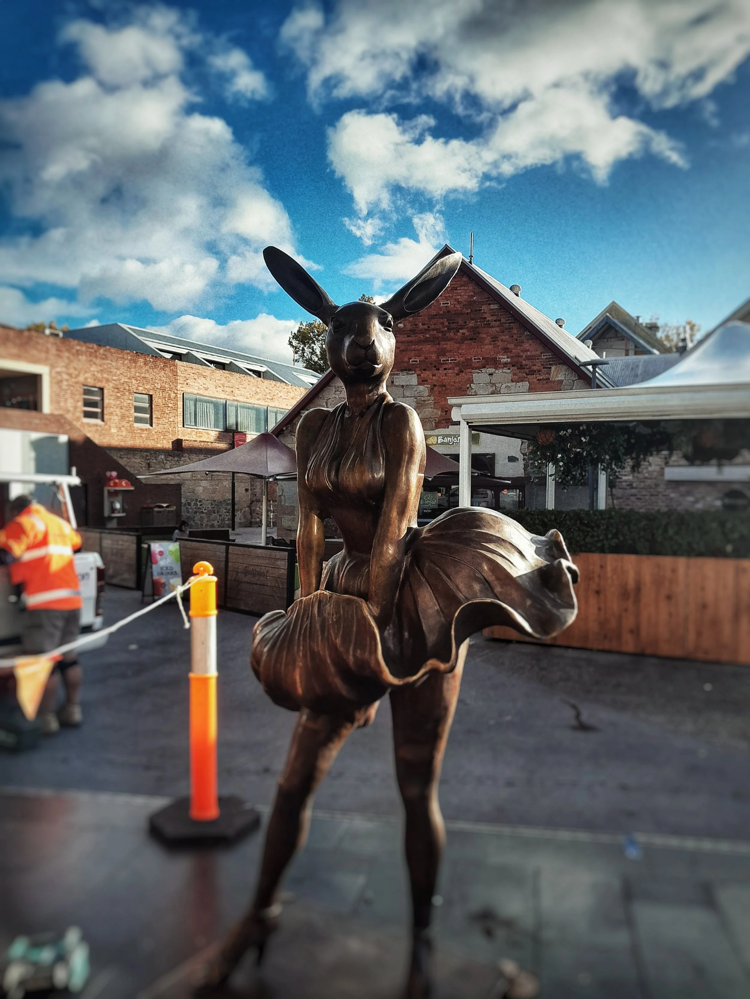 RABBIT IN SALAMANCA.jpeg