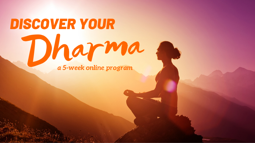 dharma dharma online