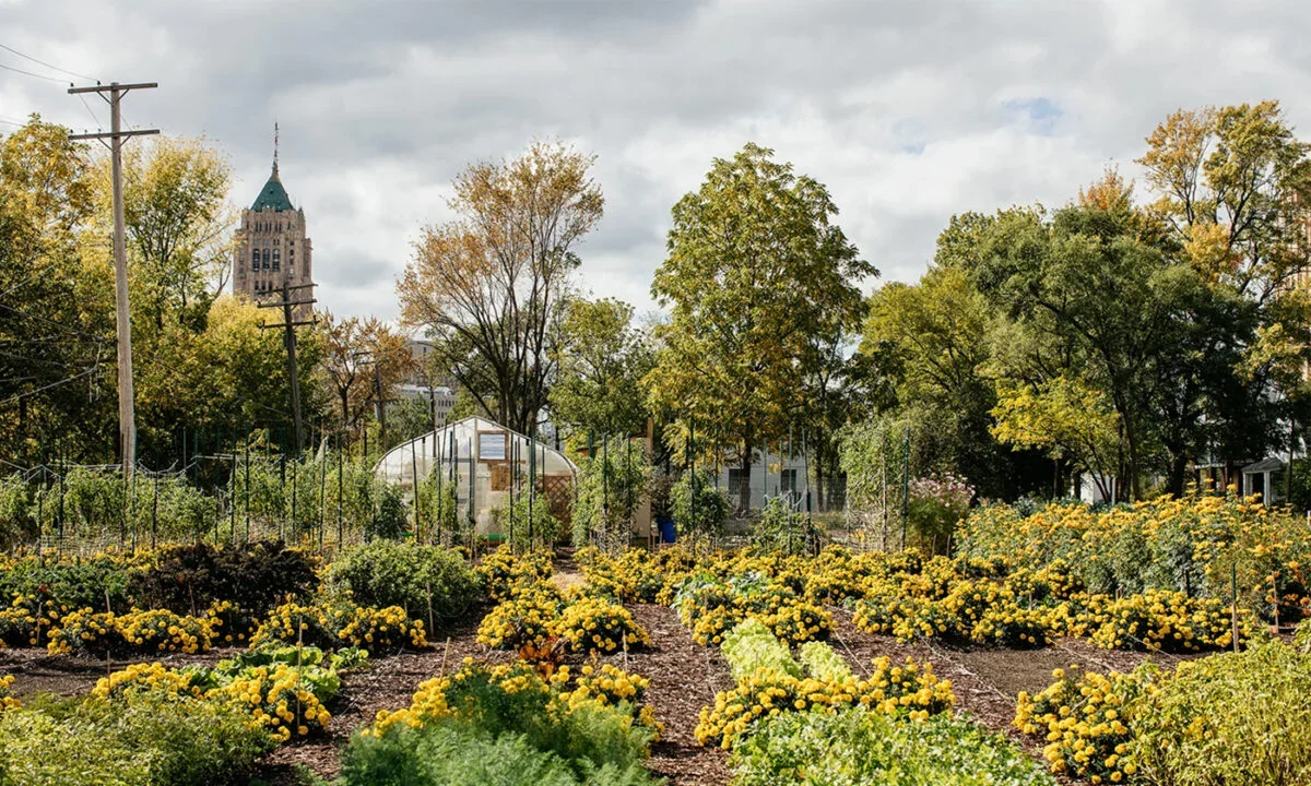 What is Urban Farming?