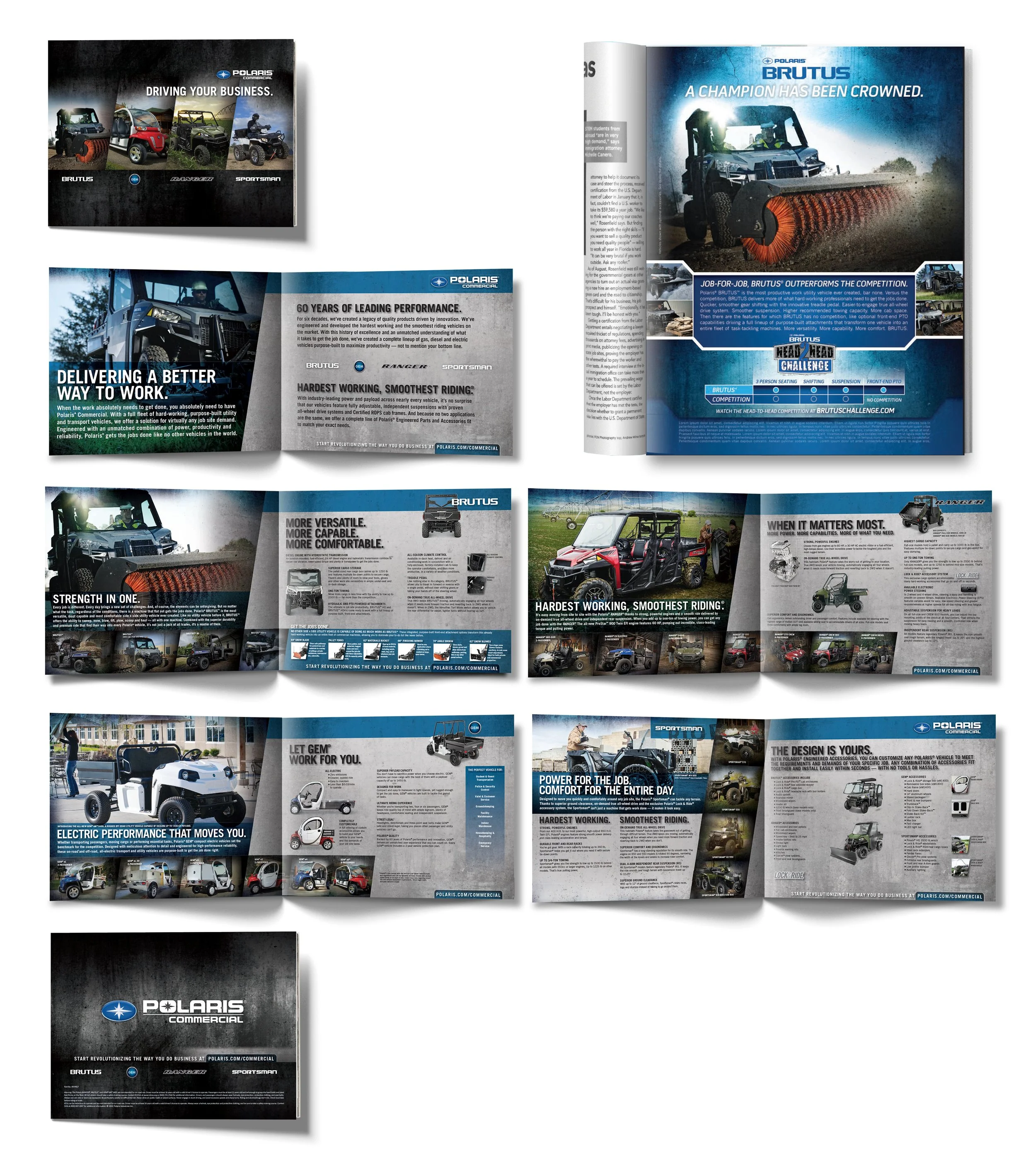 PolarisBrochure.jpg