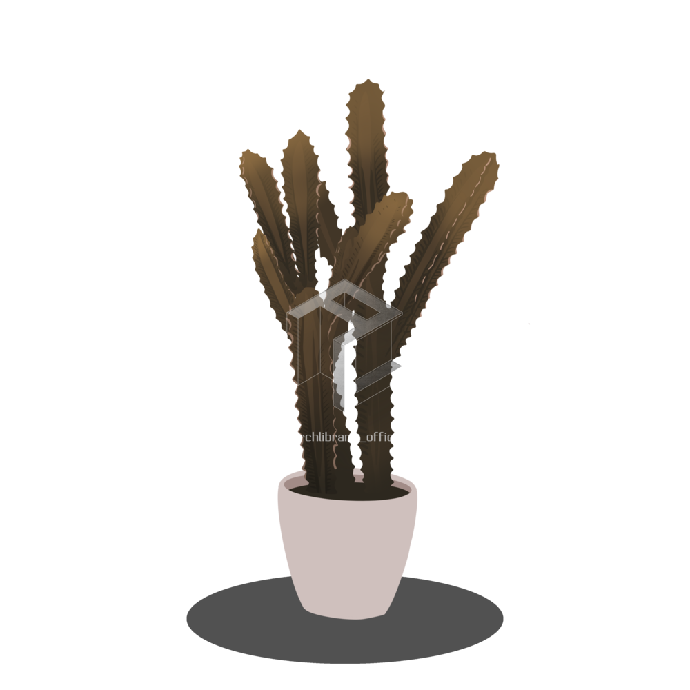 Cactus PNGs for Free Download