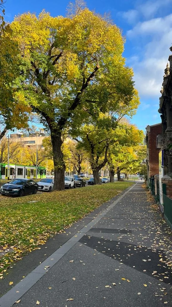 WhatsApp Image 2024-01-09 at 18.24.00 (1).jpeg