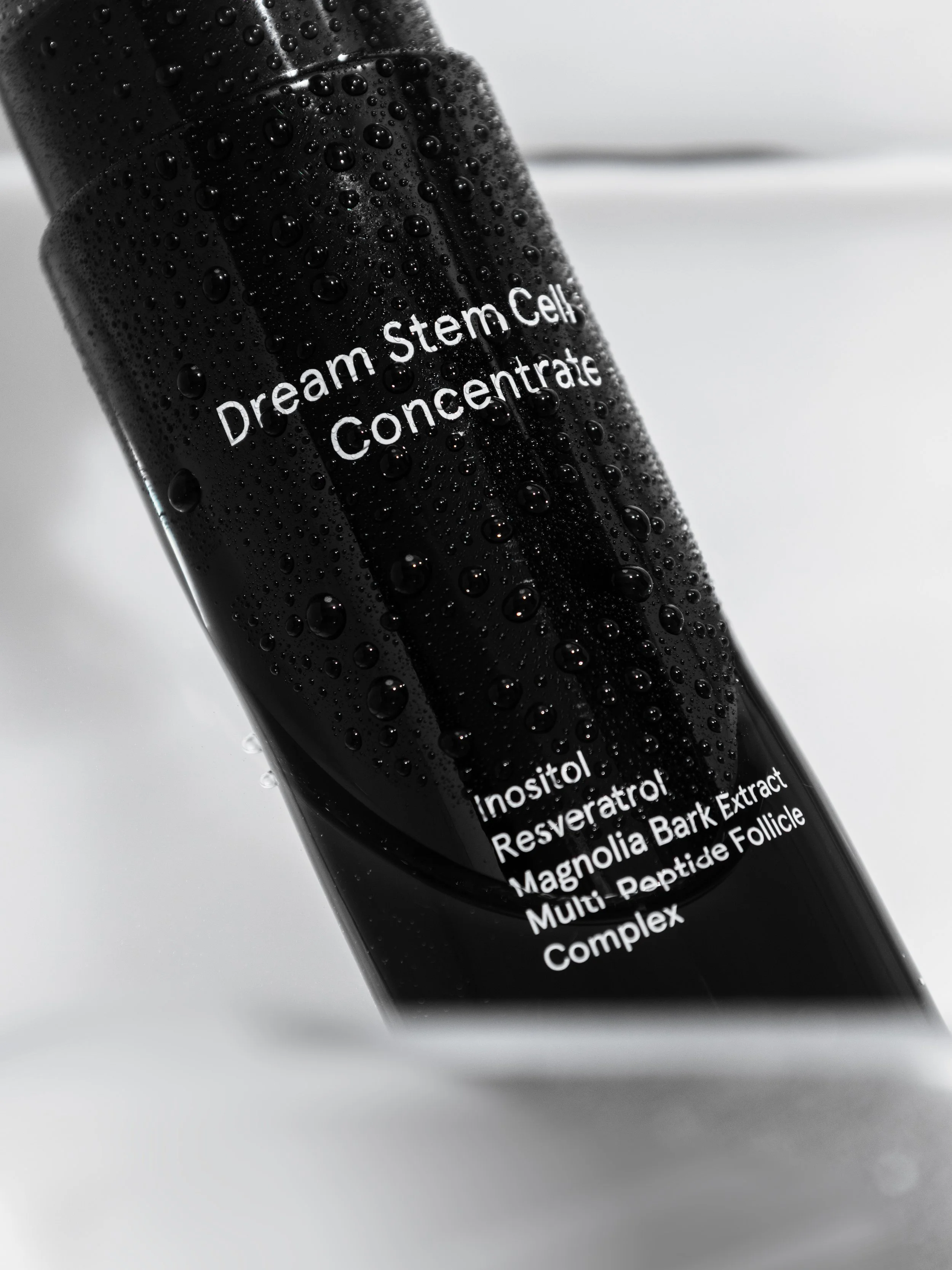 Concentrate_3.jpg (Copy)