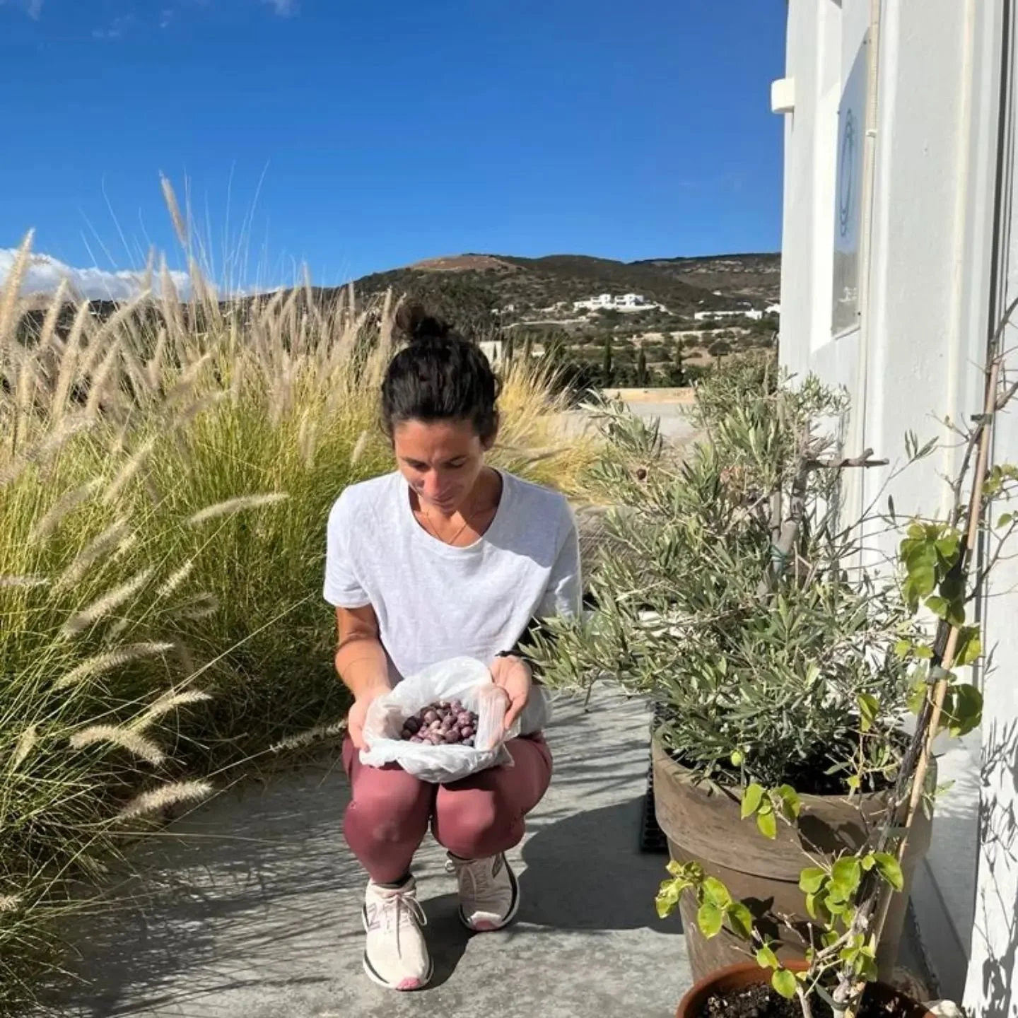 My 13 year old olive trees at the entrance produced a jar full of yummy olives to eat! 🥰🥰🥰

#islandlife #parospilates #paros #parosisland #olives #mothernature #stretchpilatesparos #stretchpilatesgreece