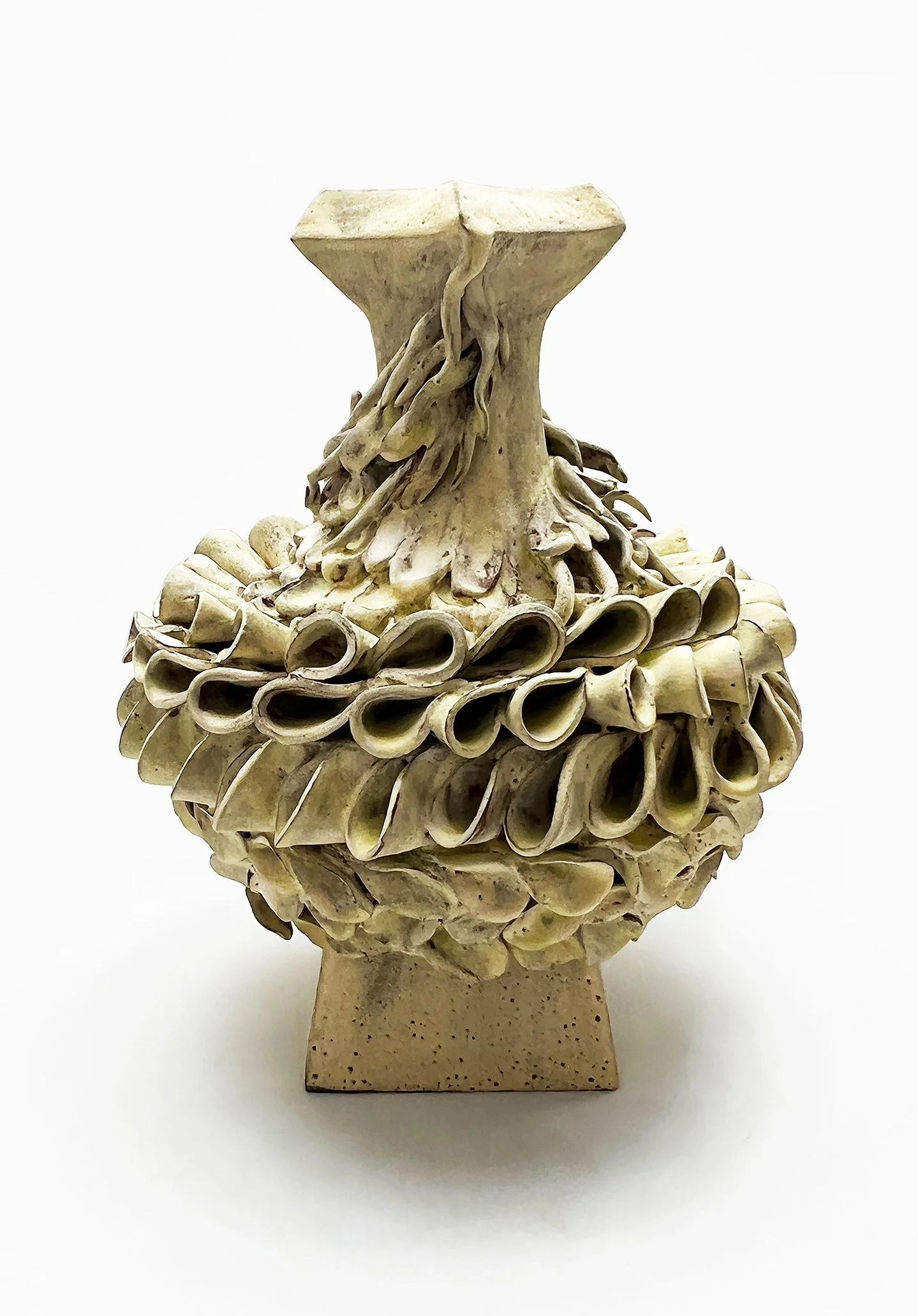 Eternal currents Large vessel