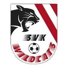Wappen des Manchester United Fußballclubs mit einem schwarzen Panther, einem Fußball und roten, weißen und schwarzen Elementen.