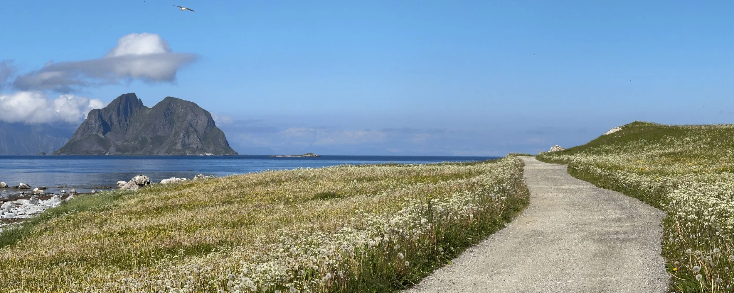 Day 07 Værøy - Værøy