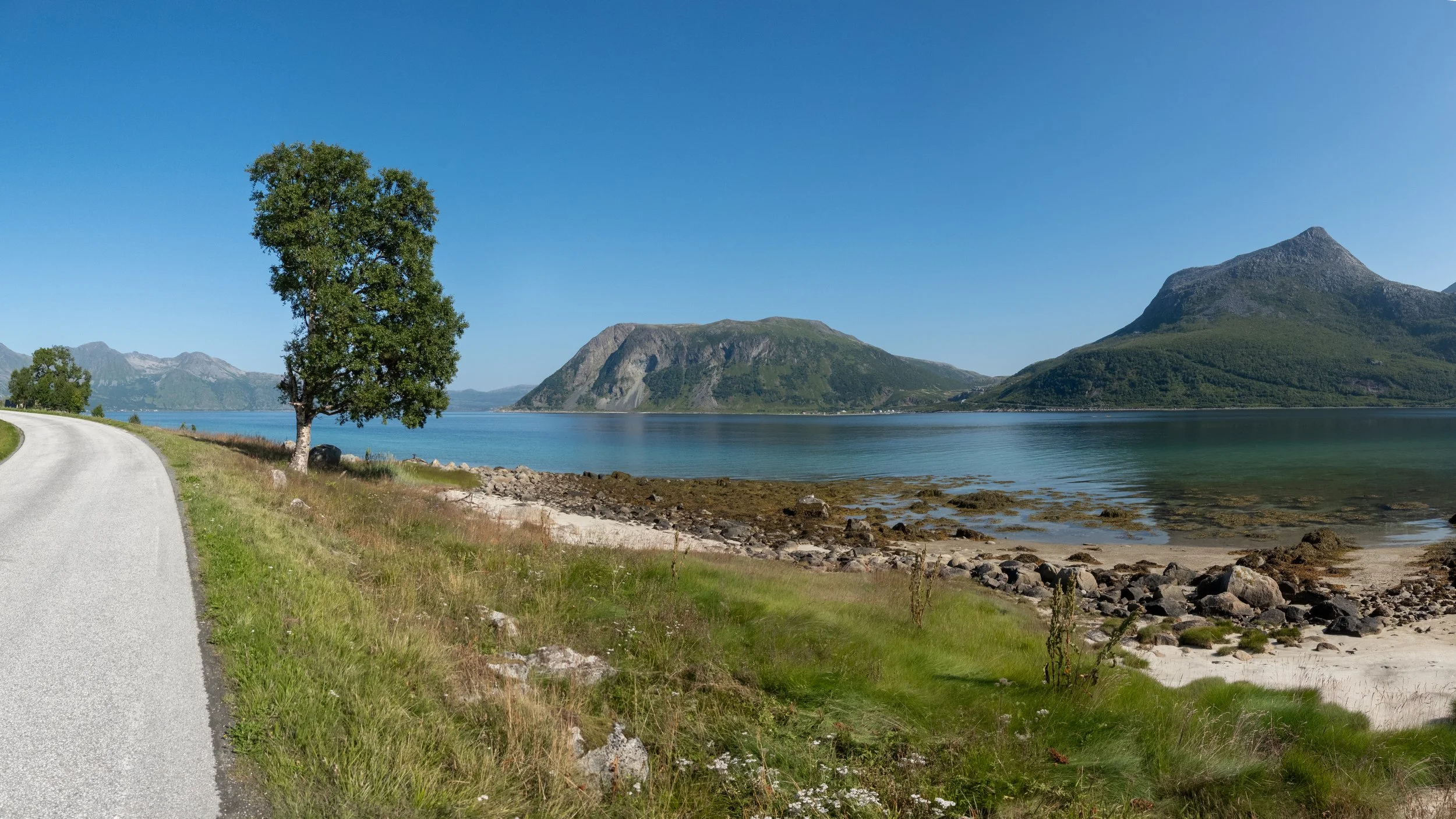 03.08.2025 | Grøtfjorden, Kvaløya