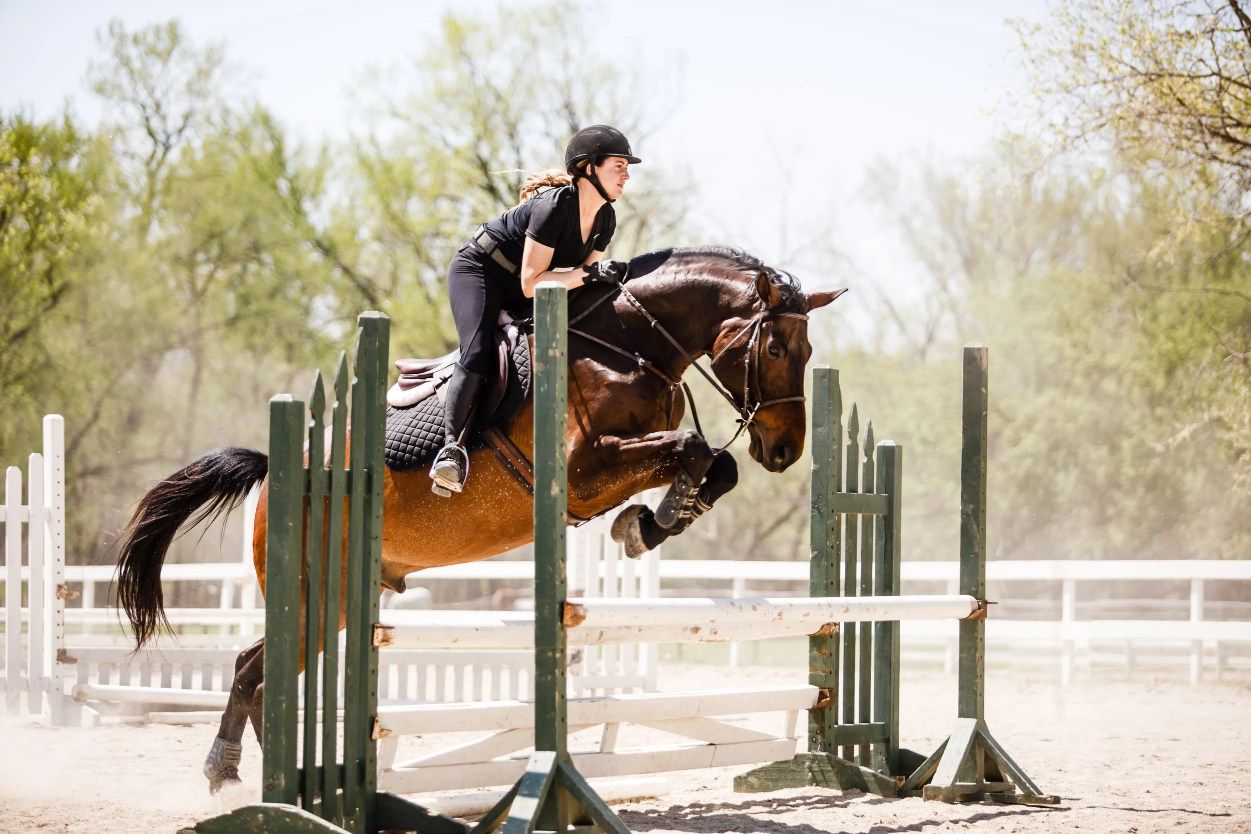 A woman riding a horse jumps over a hurdle during an equestrian event on a sunny day, with trees in the background.
