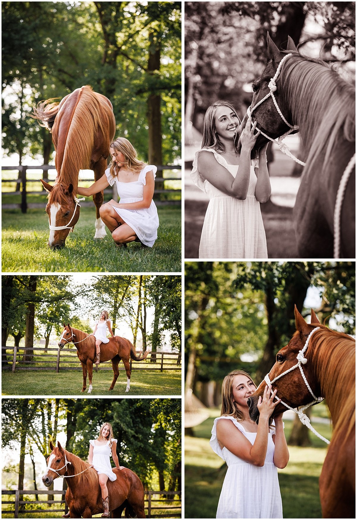 TPCREATIONSPHOTO_0103.jpg