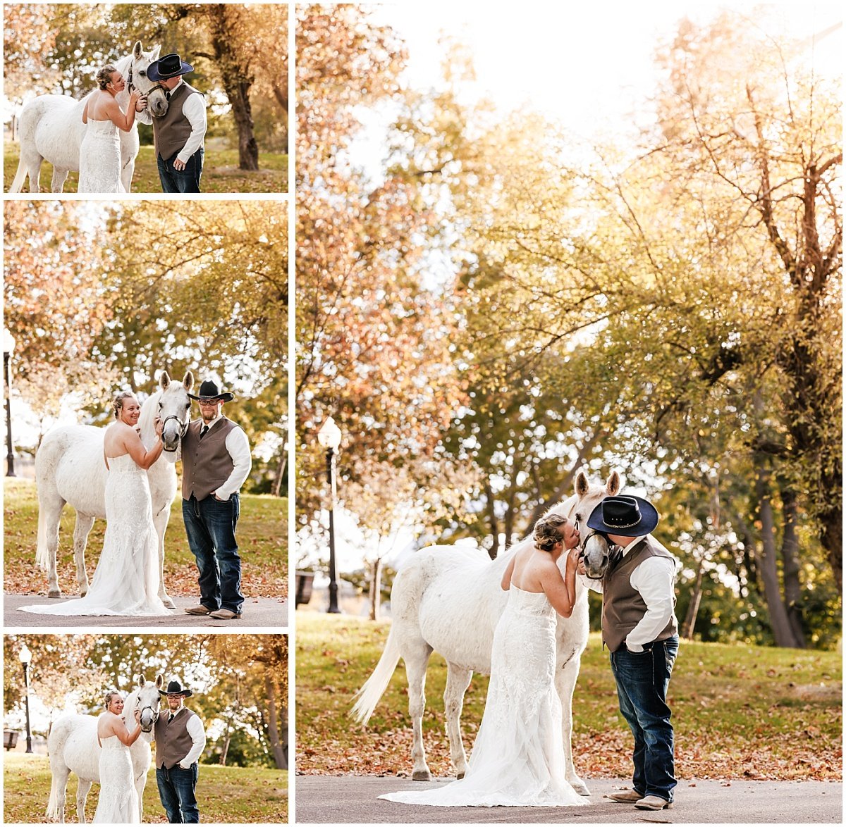 TPCREATIONSPHOTO_0934.jpg