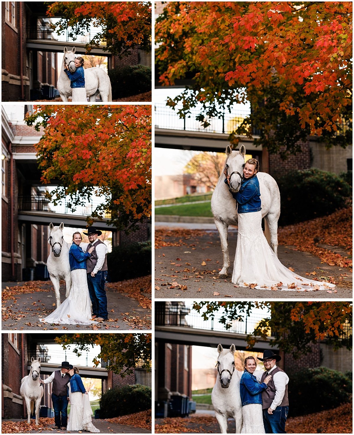 TPCREATIONSPHOTO_0938.jpg