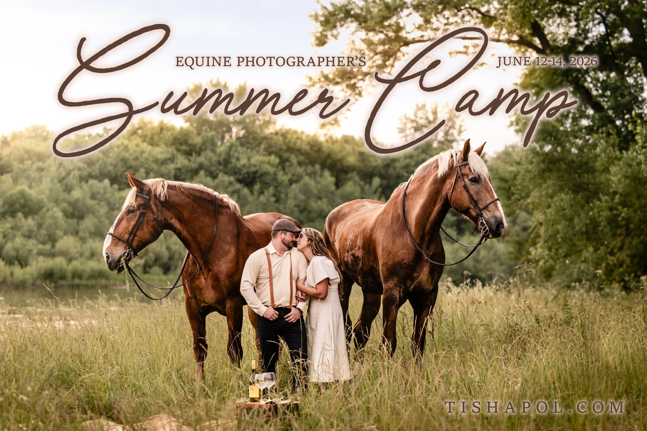 Reasons Beginner Photographer Should Attend the Equine Photography Summer Camp