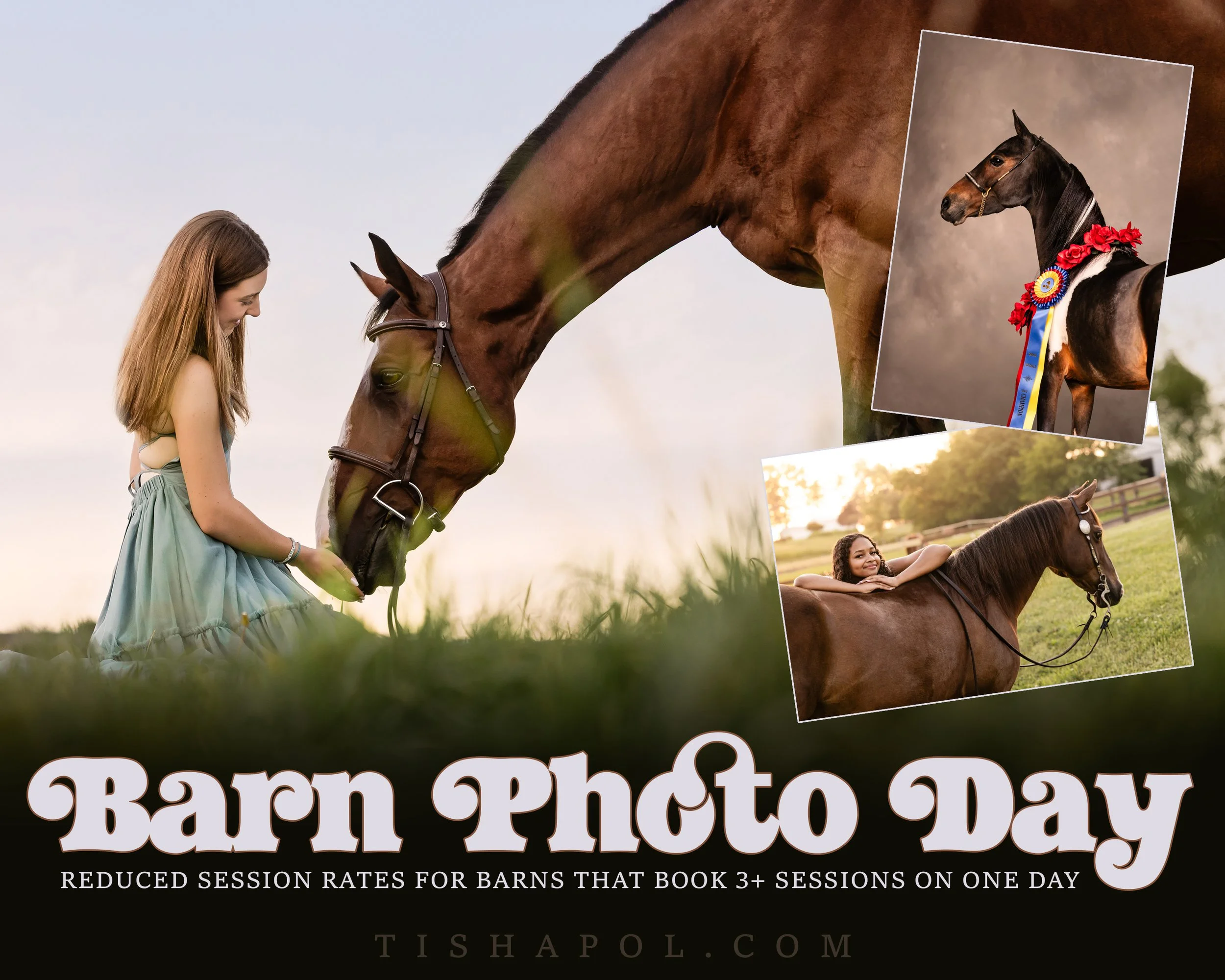 Barn Photo Day Special