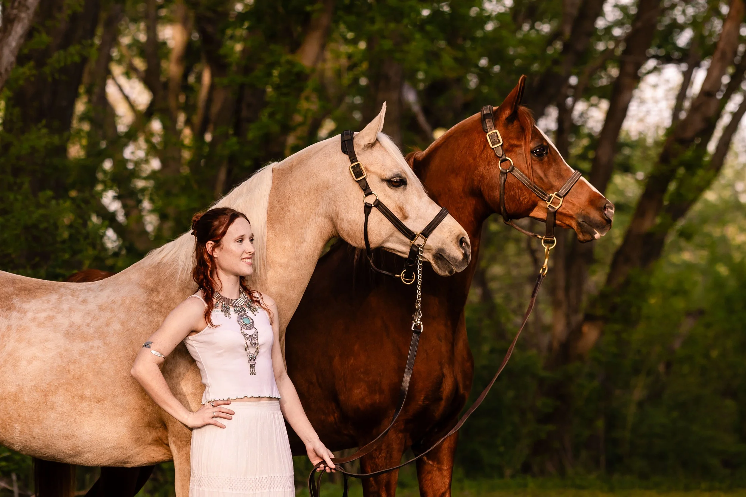 Lauren + Her Horses